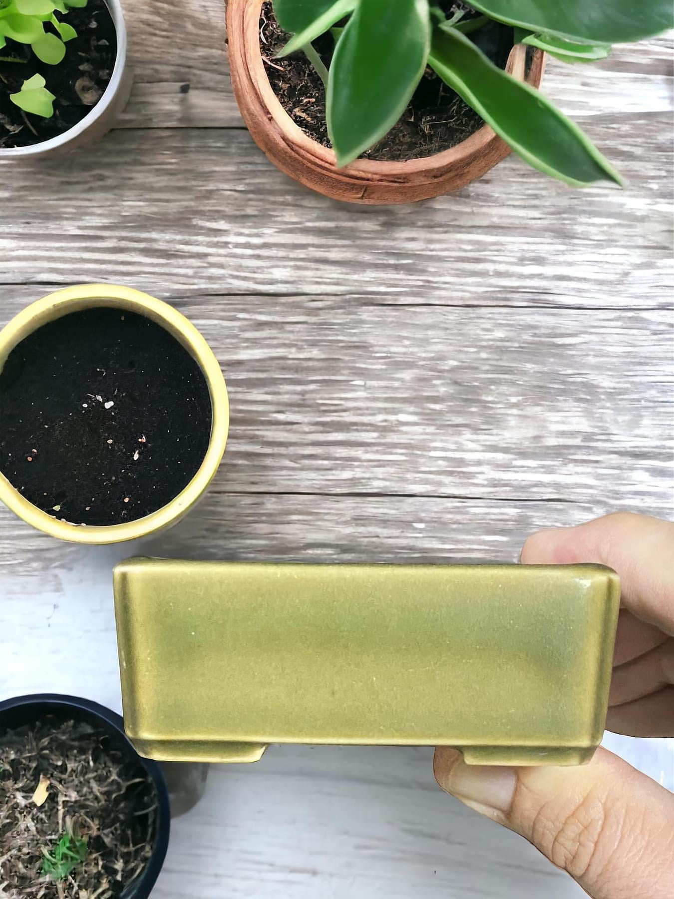 Juetsu - Beautiful Glazed Bonsai Pot (3-3/8” wide)