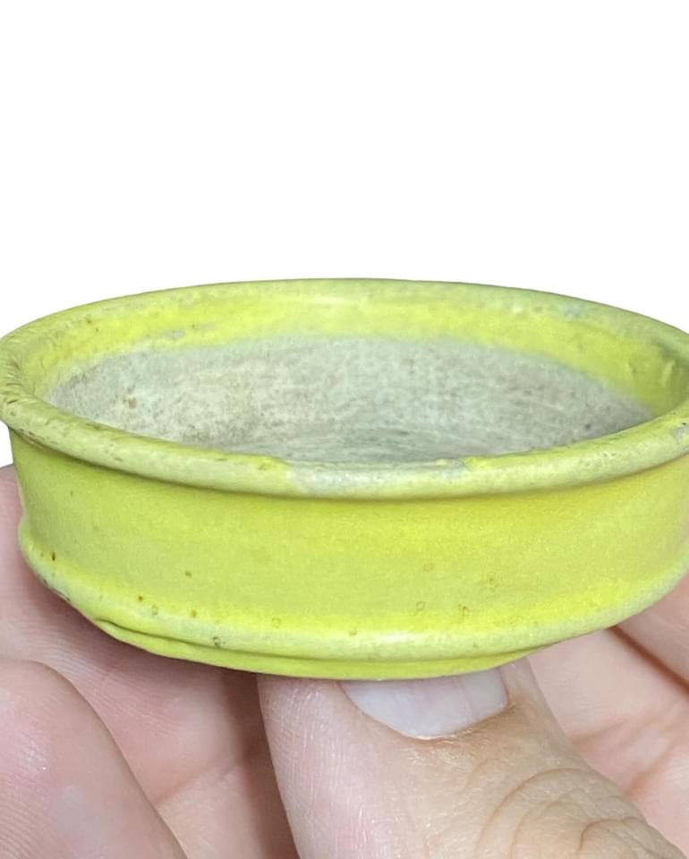 Katu - Bright Yellow Mame Bonsai Pot (2-1/8” wide)