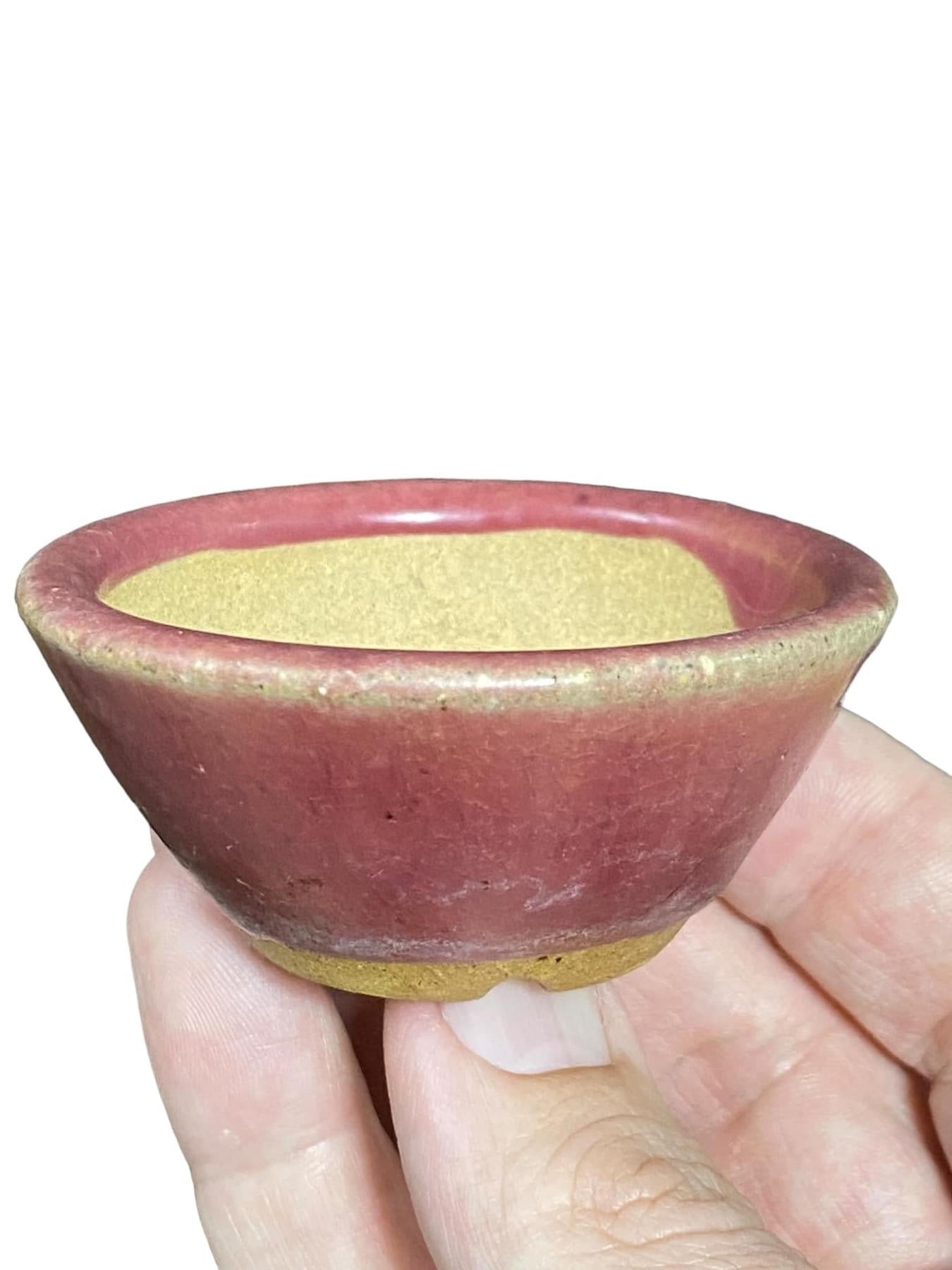 Japanese - Glazed Bonsai Pot from Japan (Discounted) (2-5/8" wide)