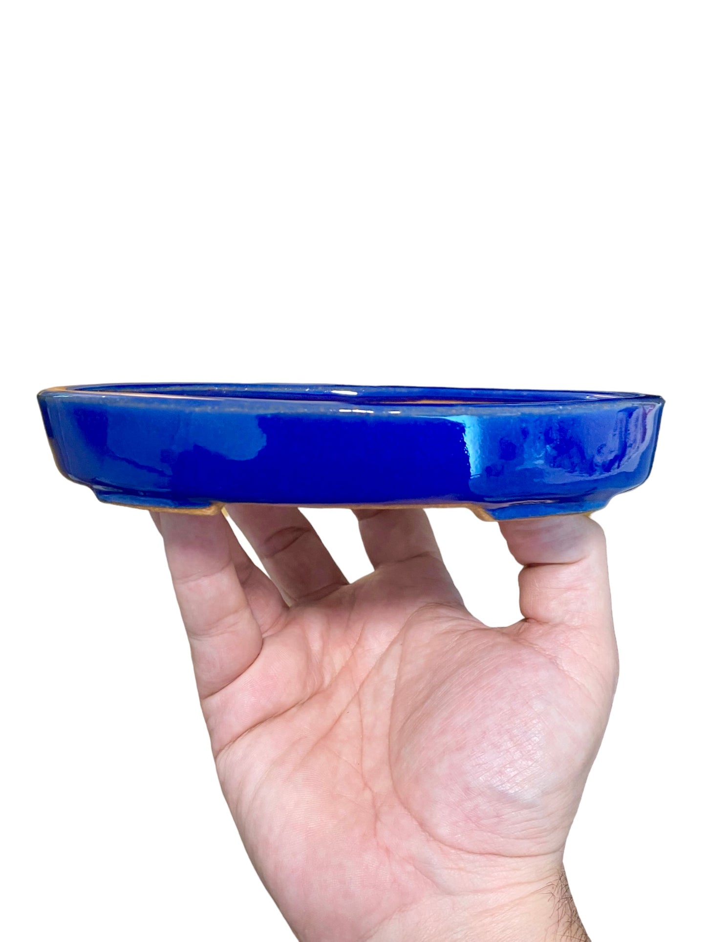 Ikko - Royal Blue Glazed Oval Bonsai or Accent Pot (6-7/8” wide)