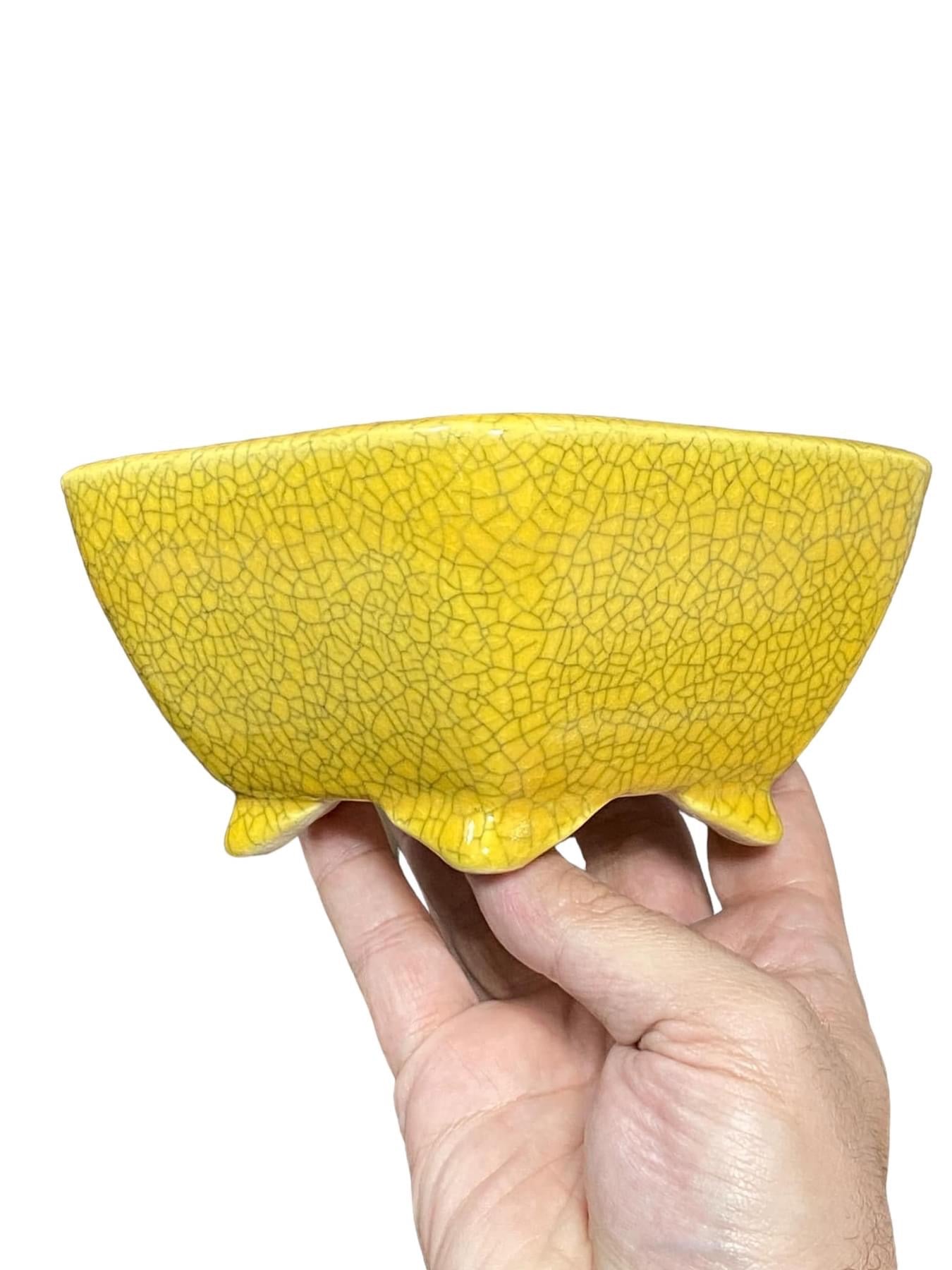 Koyo - Rare Yellow Crackle Glazed Bonsai Pot (5-1/4" wide)