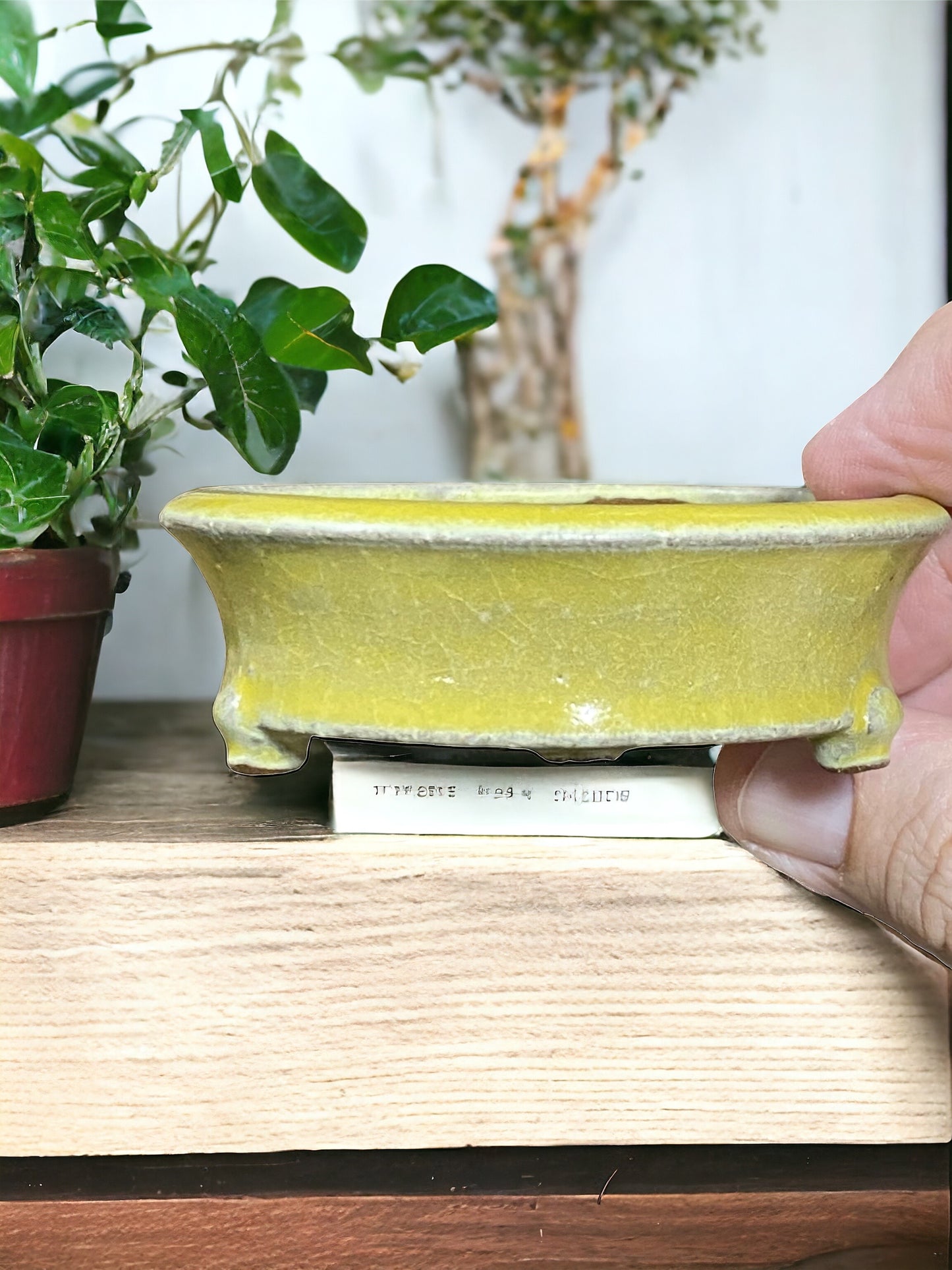 Eimei - Yellow Crackle Glazed Footed Round Bonsai Pot (3-1/4" wide)