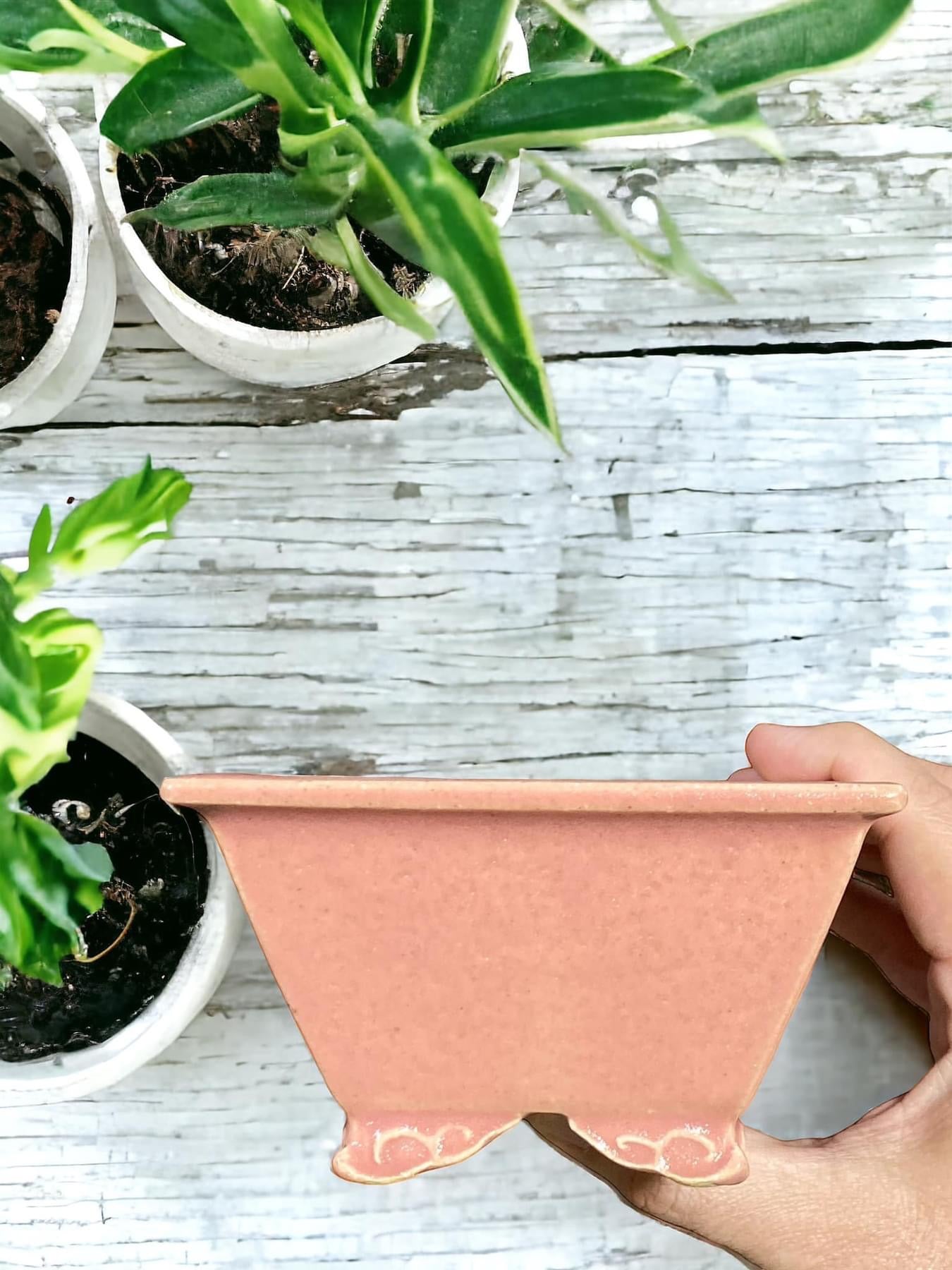 Kiyoshi Kiowai “Fuka” - Glazed Semi Cascade Bonsai Pot (5-1/16” wide)