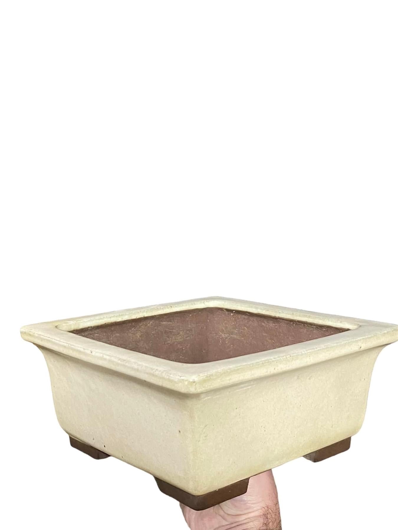Yamaaki - Large Glazed Rectangle Bonsai Pot (9-1/4" wide)