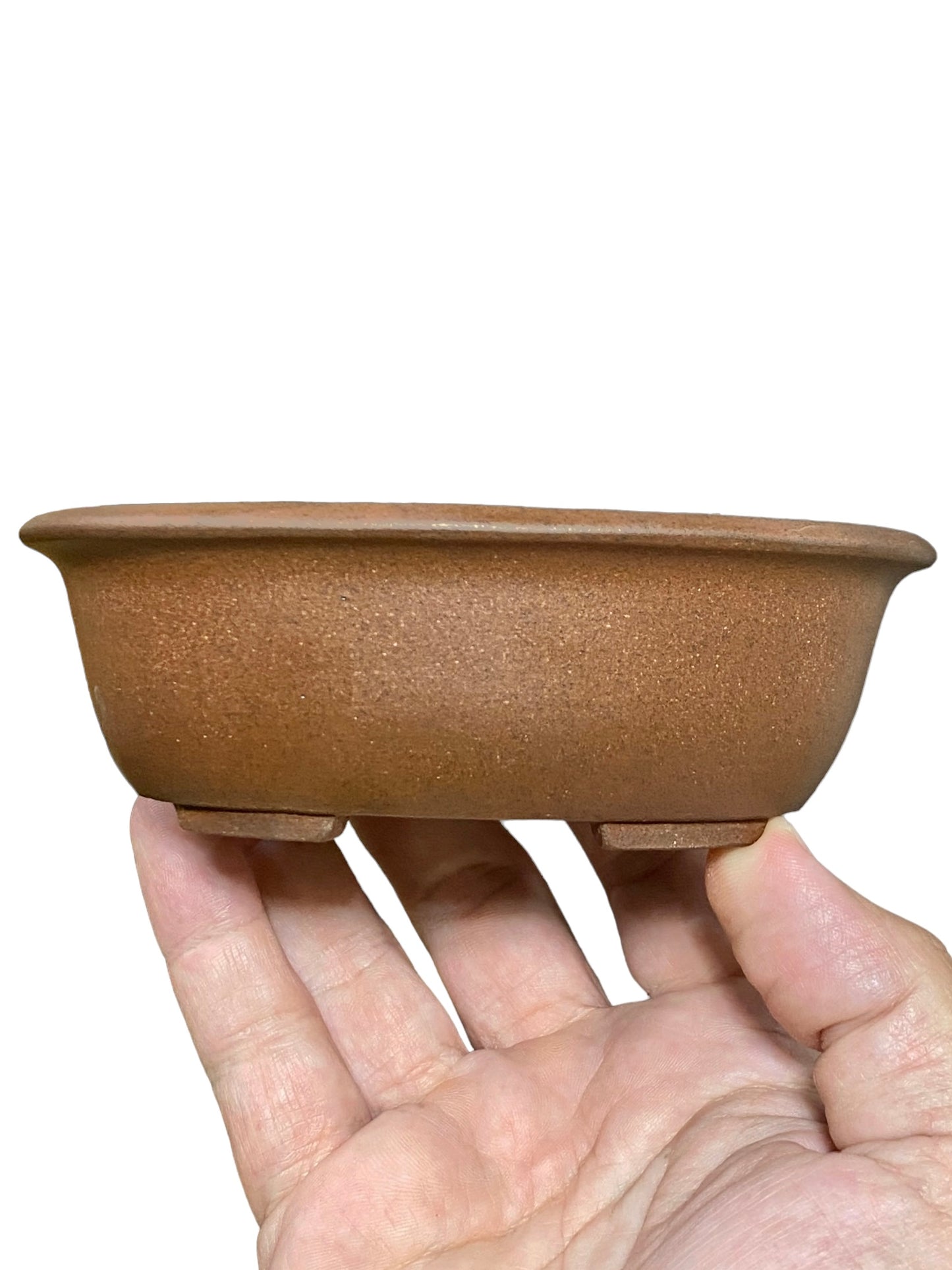 Ikko - Exhibition Quality Unglazed Oval Bonsai Pot (5-3/8” wide)