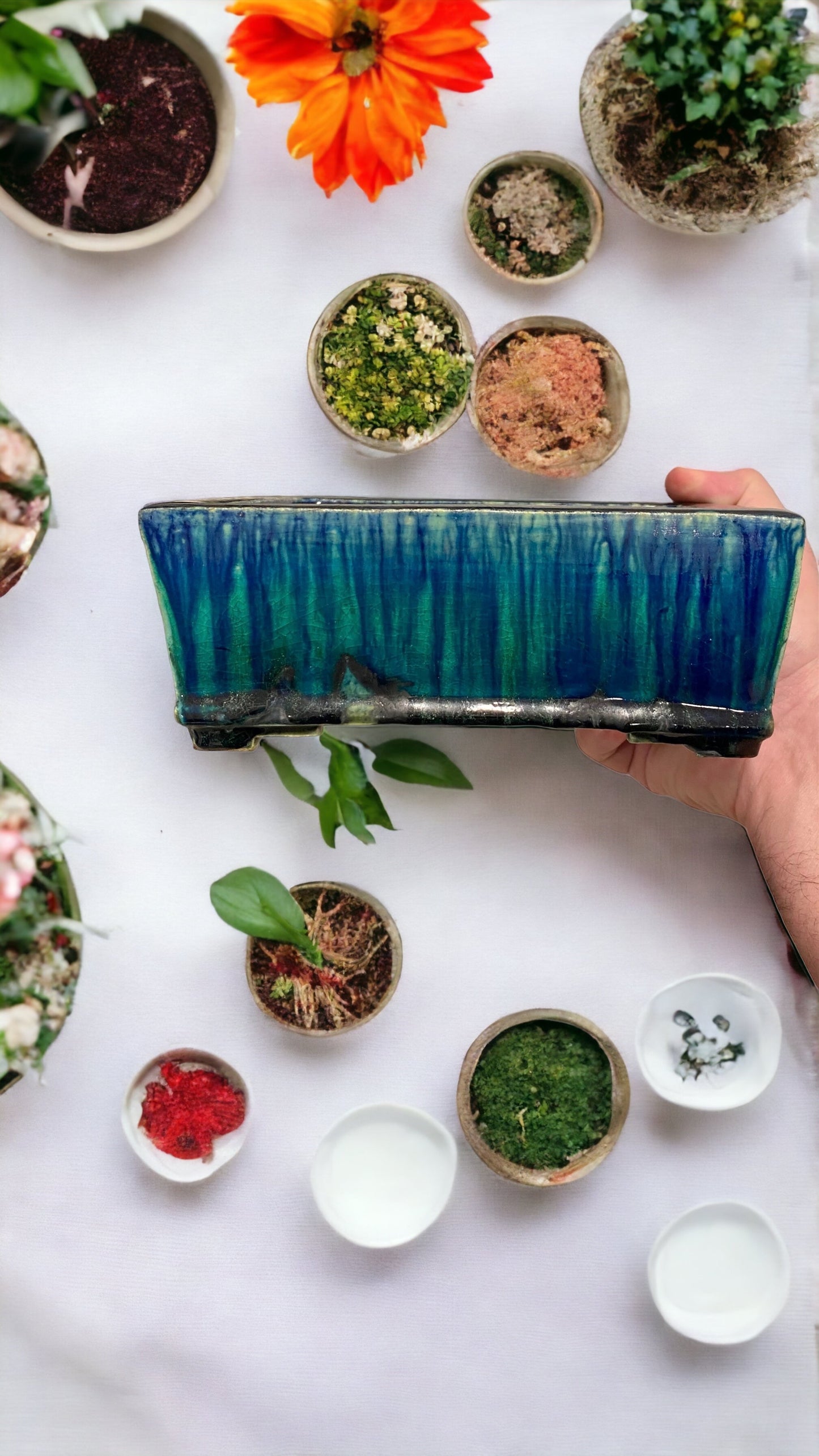 Fukushige Bushuan - Spectacular Oribe Glazed Rectangle Bonsai Pot