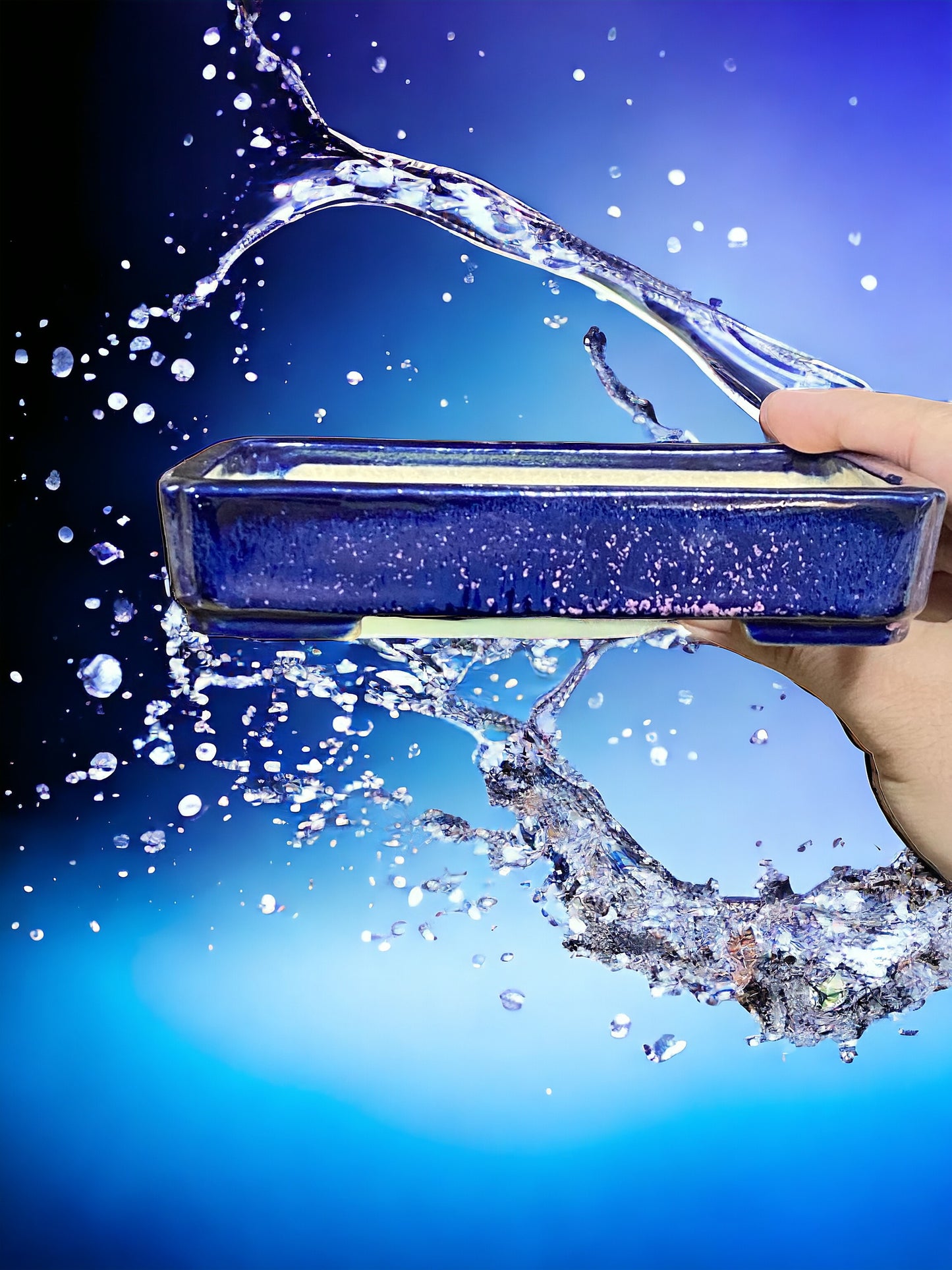 Koyo - Stellar Glazed Shohin Rectangle Bonsai Pot (6-1/4" wide)