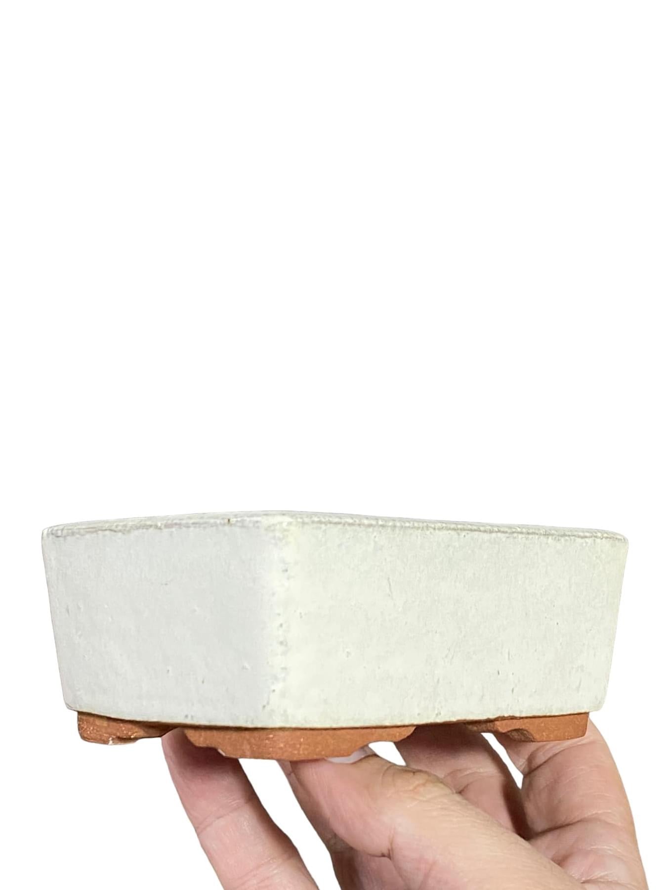 Eimei - Subdued White Glazed Bonsai Pot (4-3/4” wide)