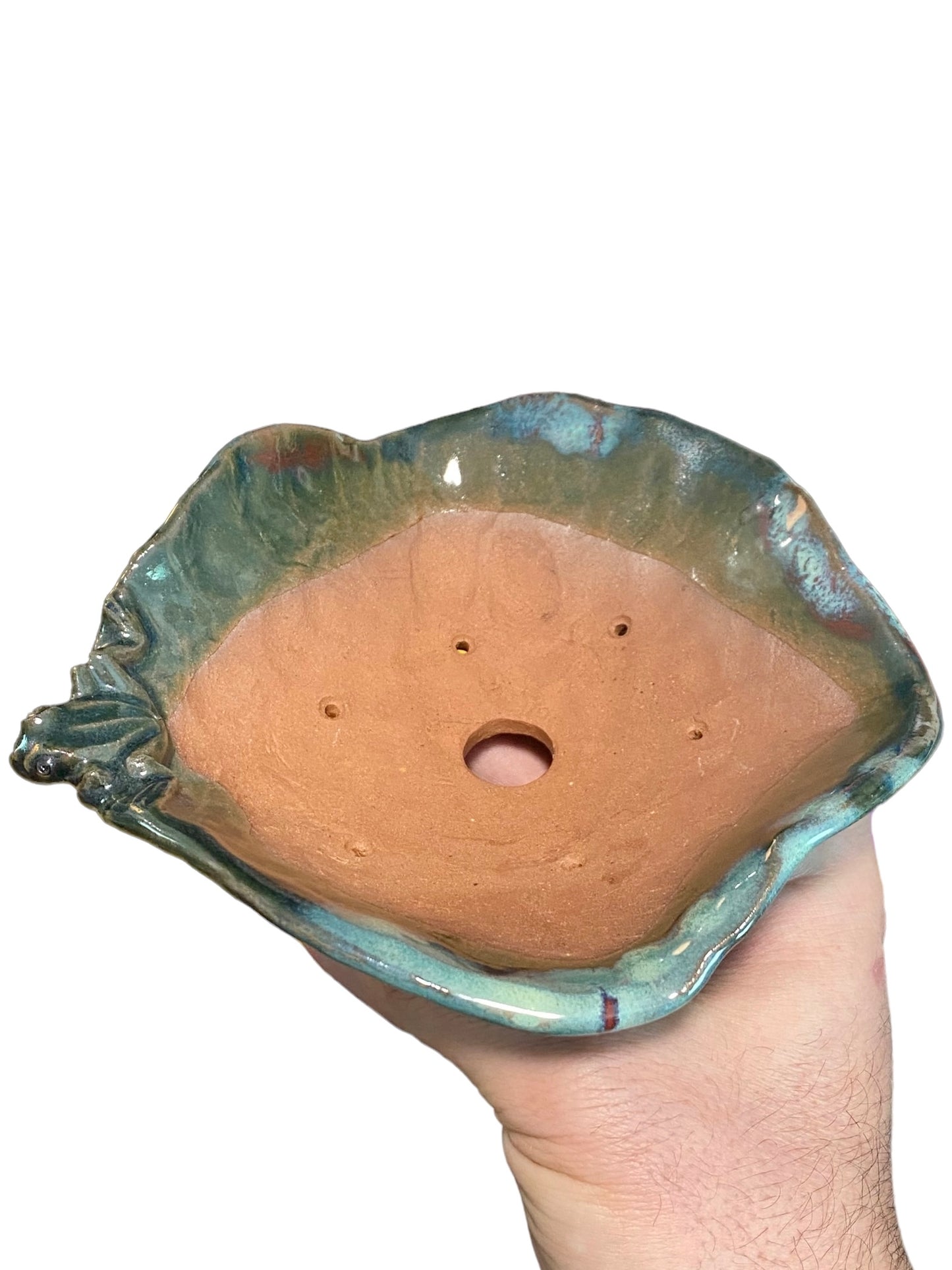 Masashi - Frog on a Glazed Bowl Bonsai or Accent Pot