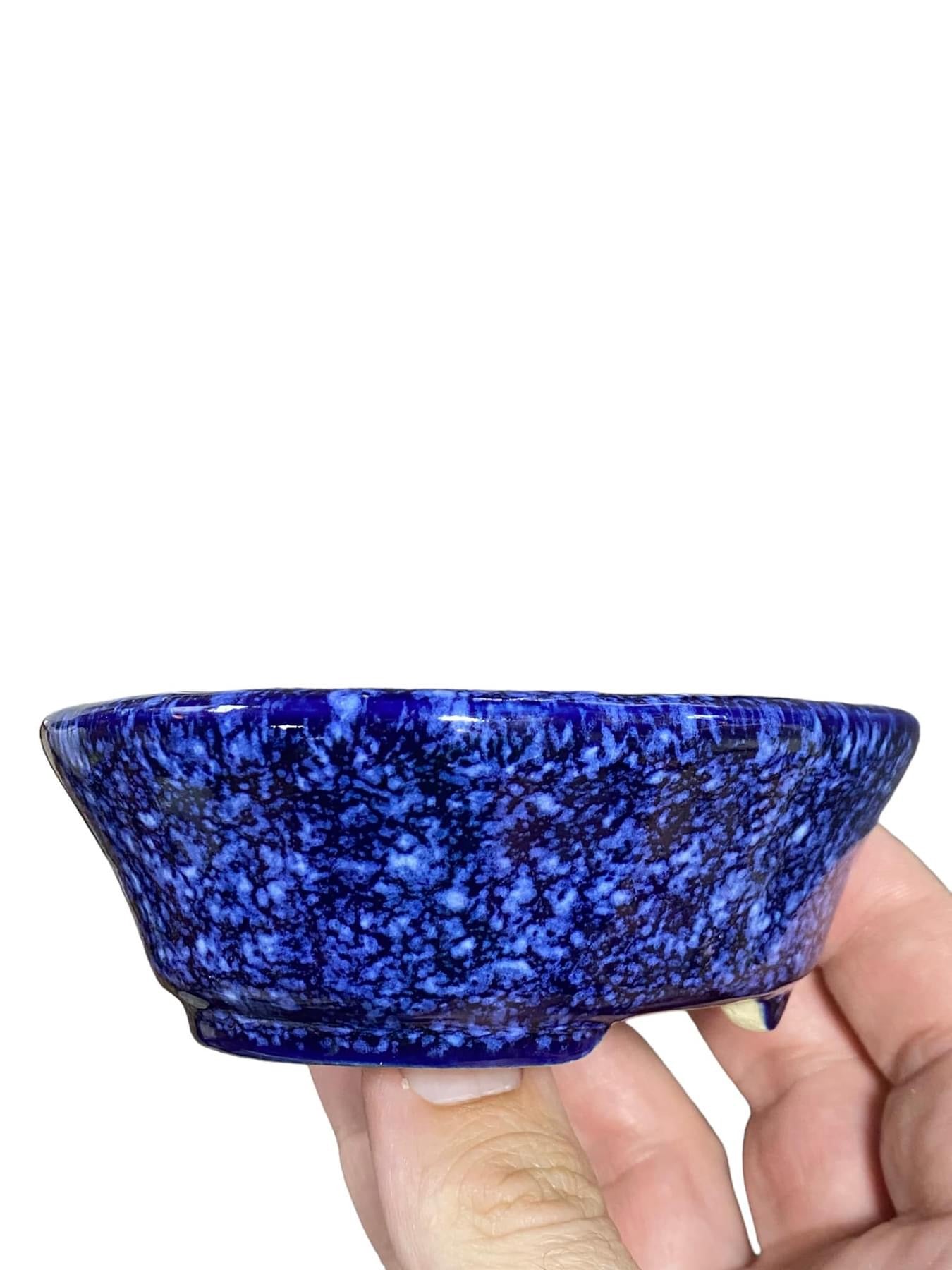 Koyo - Namako Blue Glazed Oval Bonsai Pot