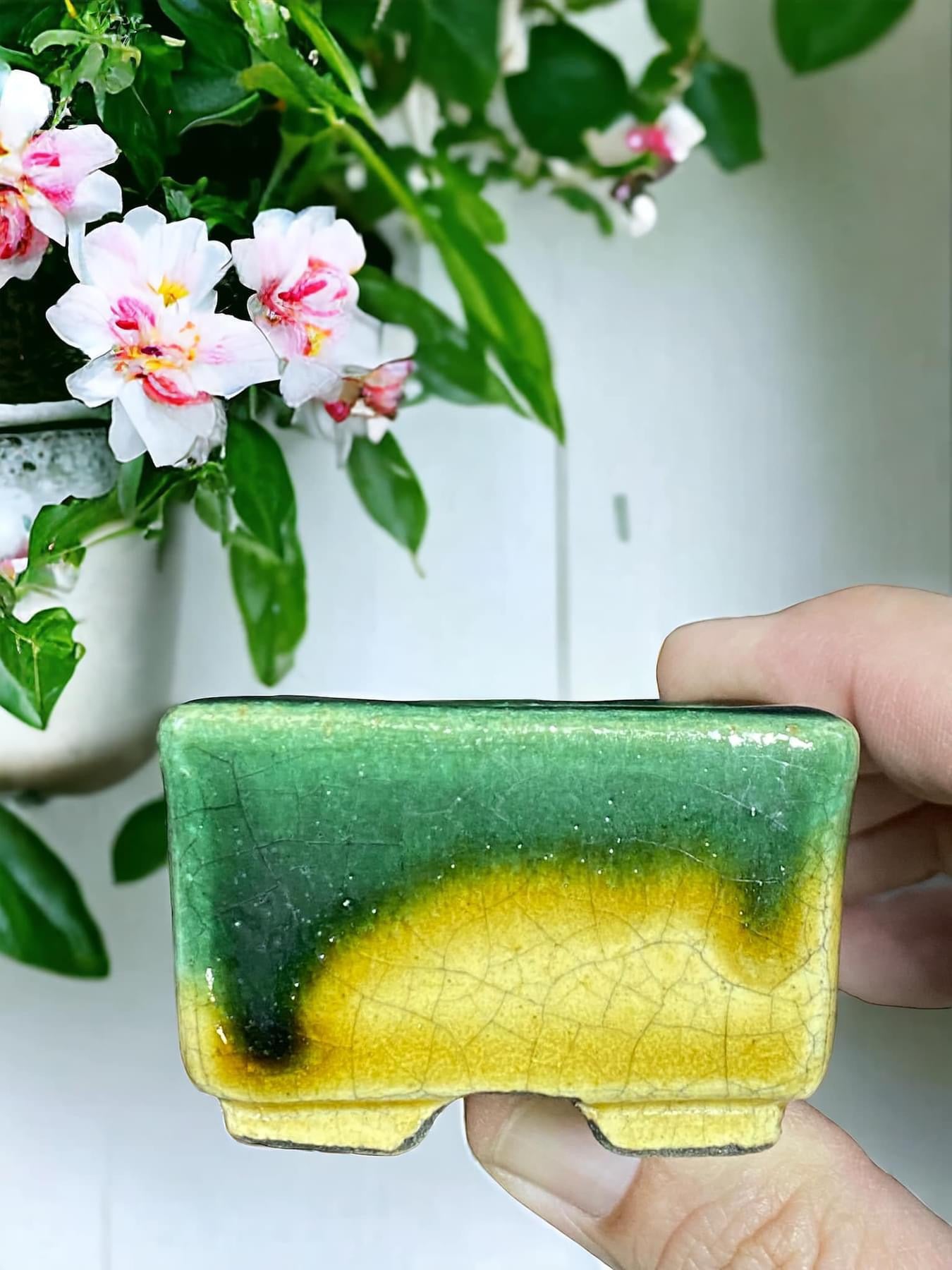 Satomi Terahata - Green and Yellow Glazed Bonsai or Accent Pot (2-5/32” wide)