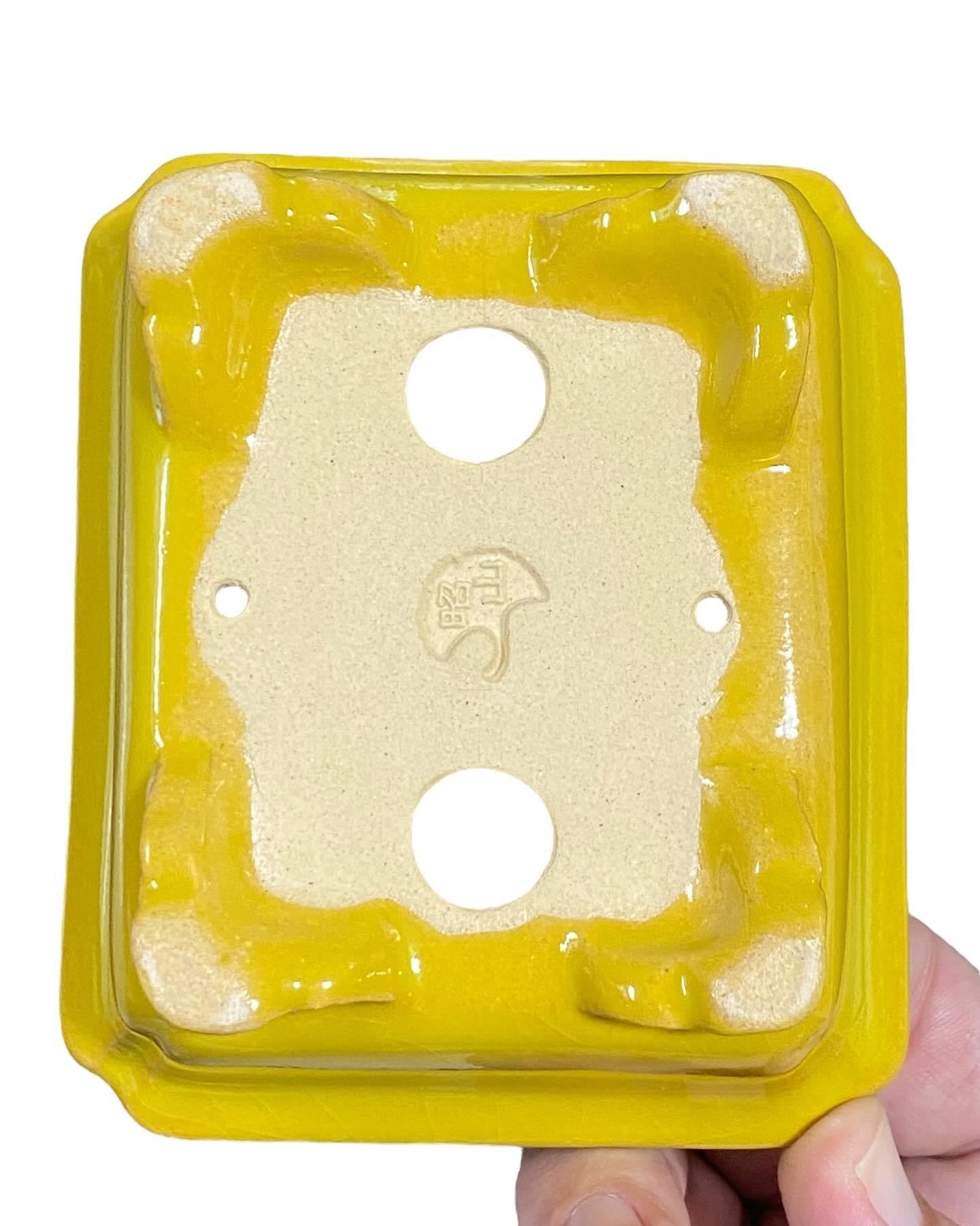 Shozan - Sunbright Yellow Glazed Bonsai Pot (4-11/16โ wide)