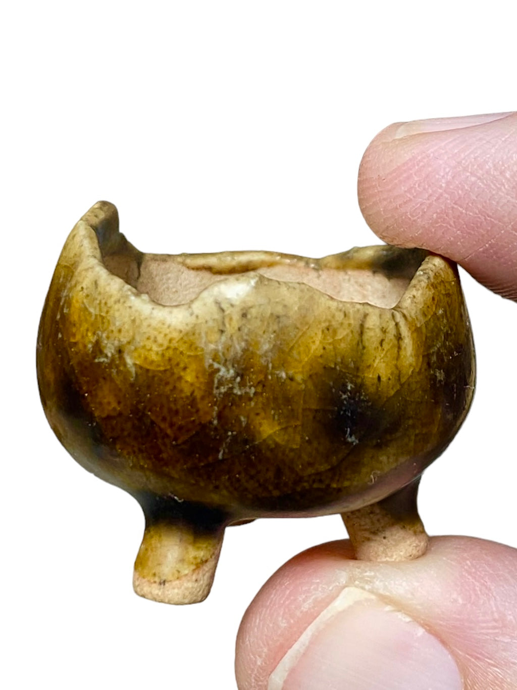 Mame / Tiny Bonsai or Accent Pot