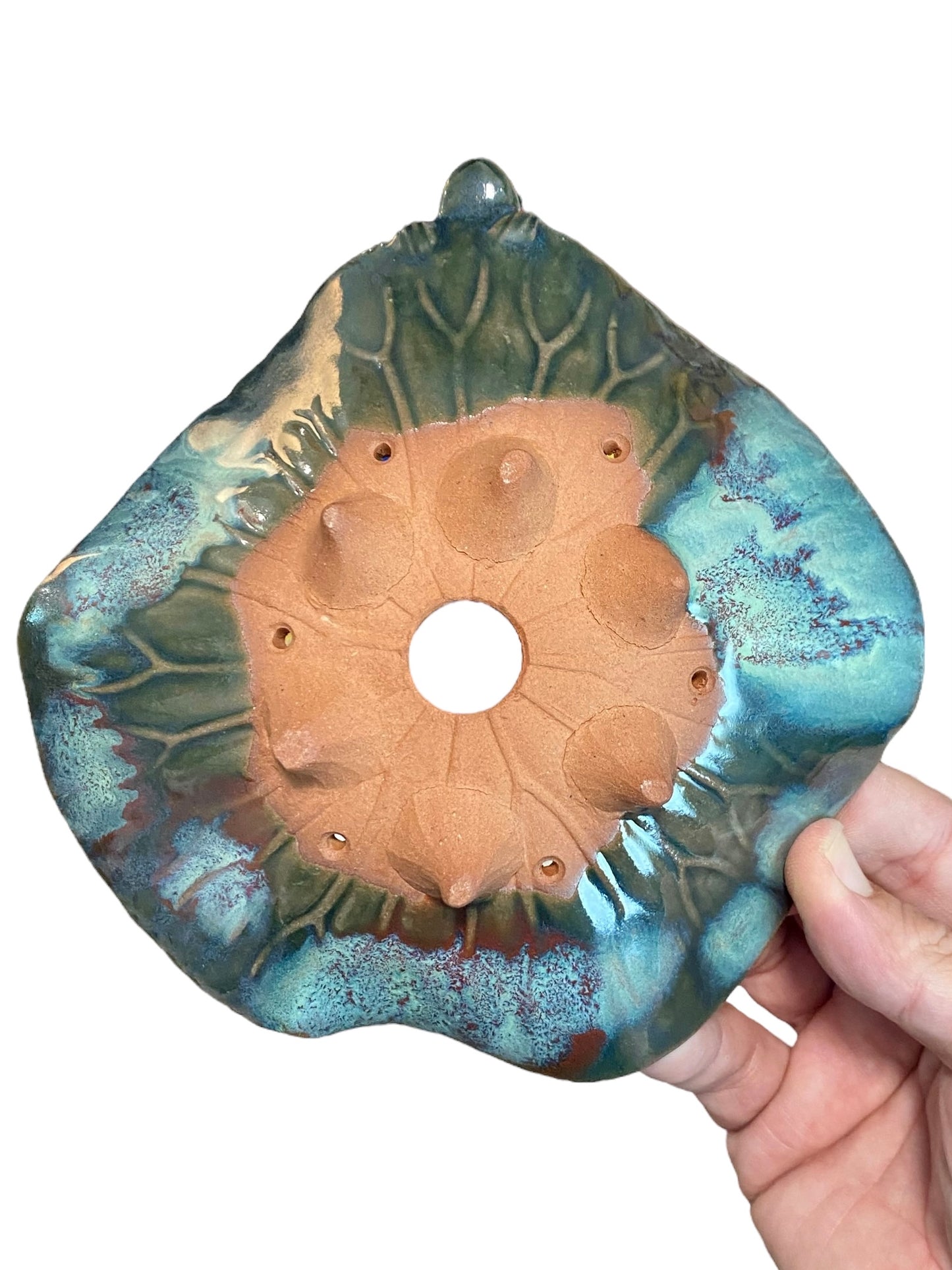 Masashi - Frog on a Glazed Bowl Bonsai or Accent Pot (6" wide)