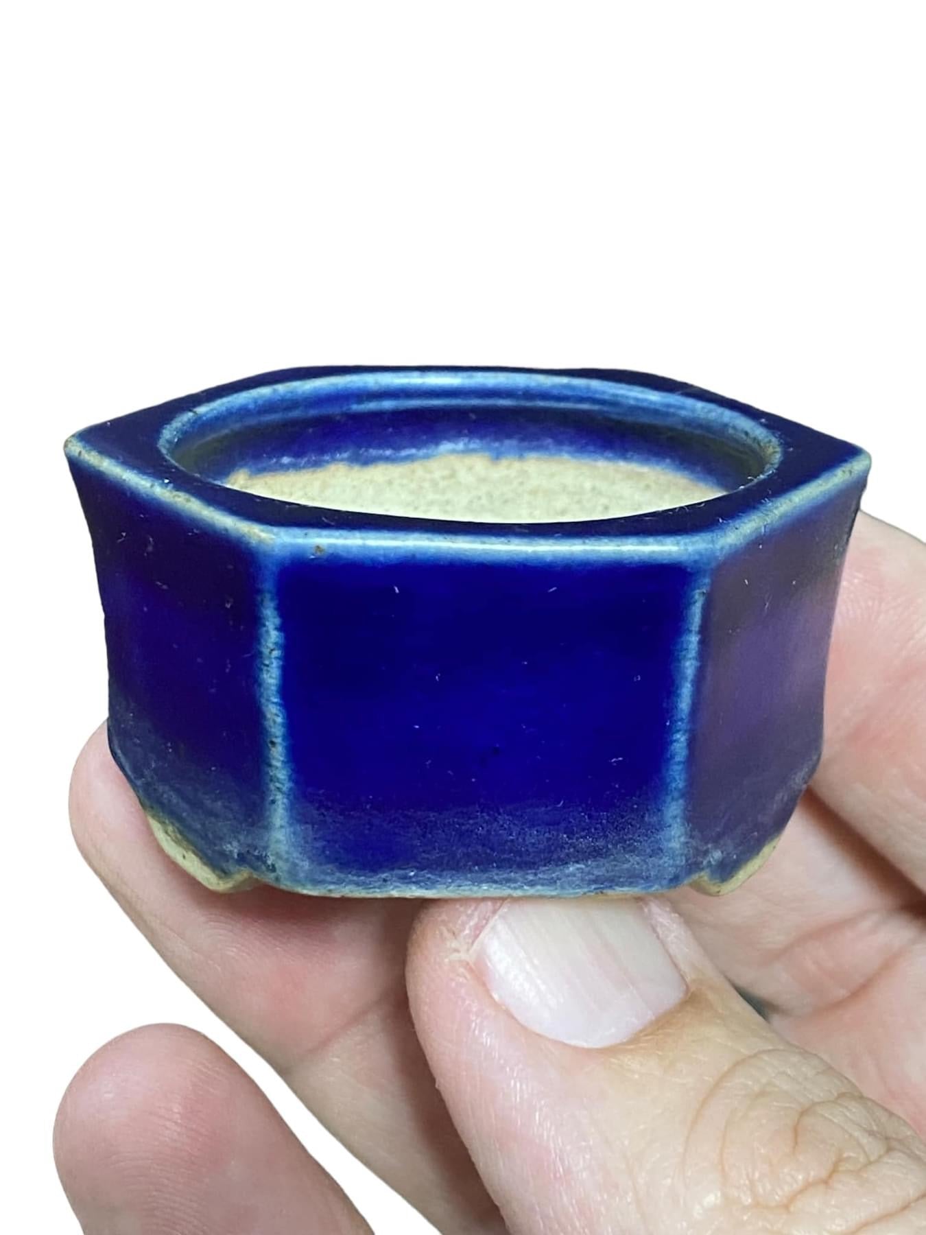 Japanese - Beautiful Blue Glazed Bonsai Pot (Discounted) (1-7/8" wide)
