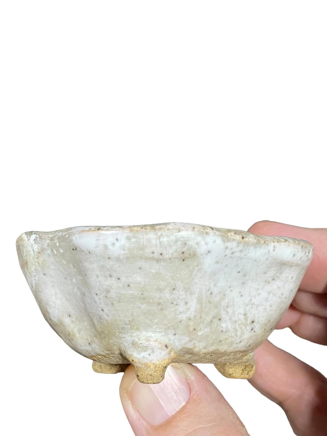 Japanese - Handmade Footed Bowl Bonsai Pot