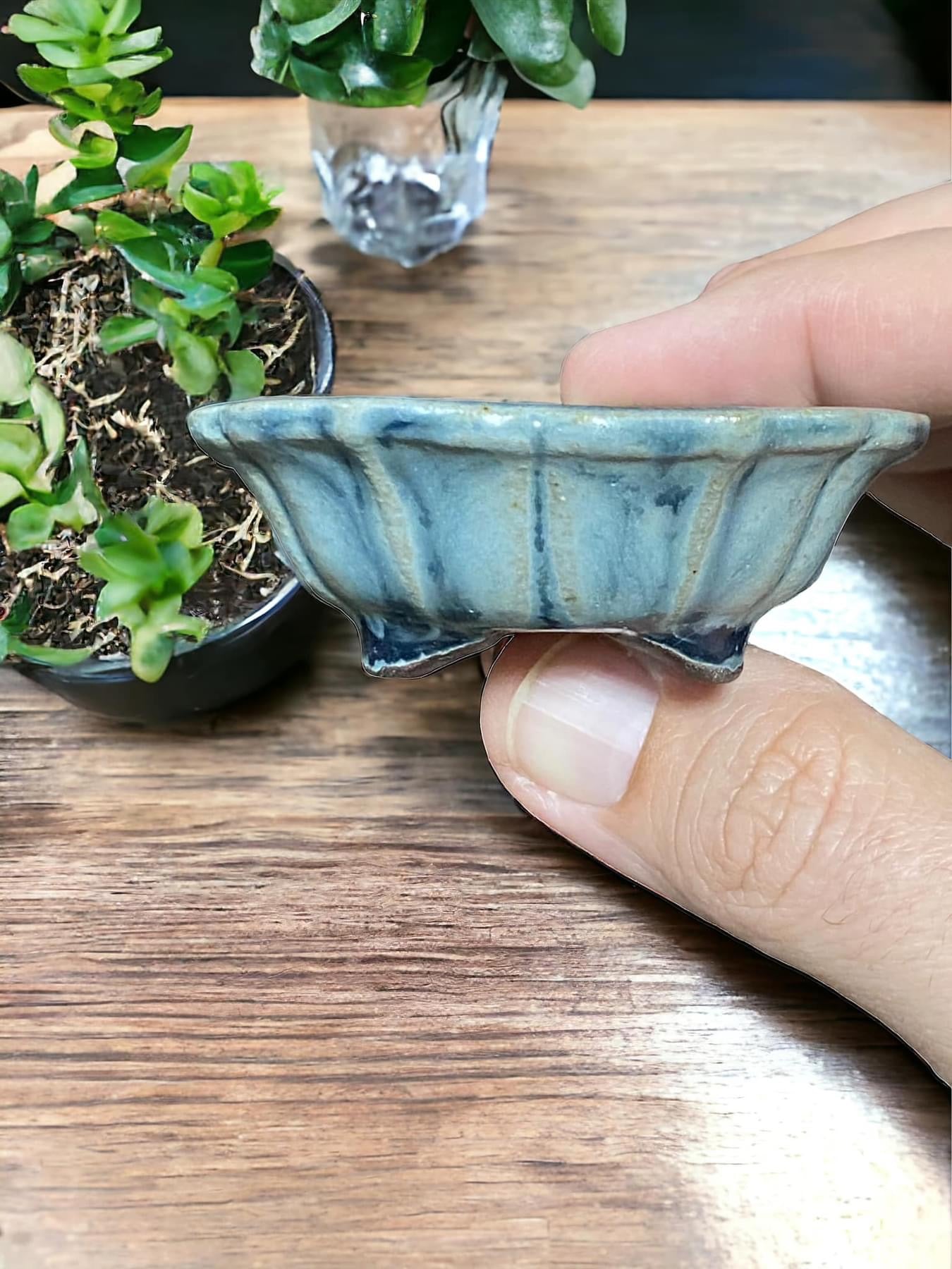 Shibakatsu - Blue Glazed Mame Bonsai Pot (Rare) 2-5/8" wide)