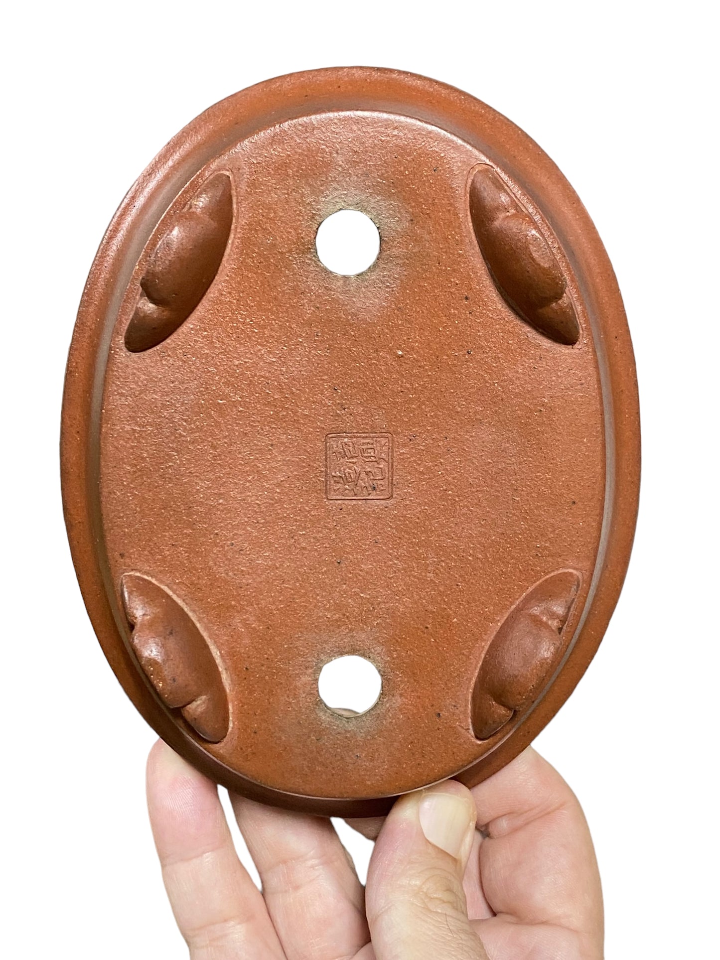 Ikko - Exhibition Quality Unglazed Oval Bonsai Pot (6-1/2” wide)