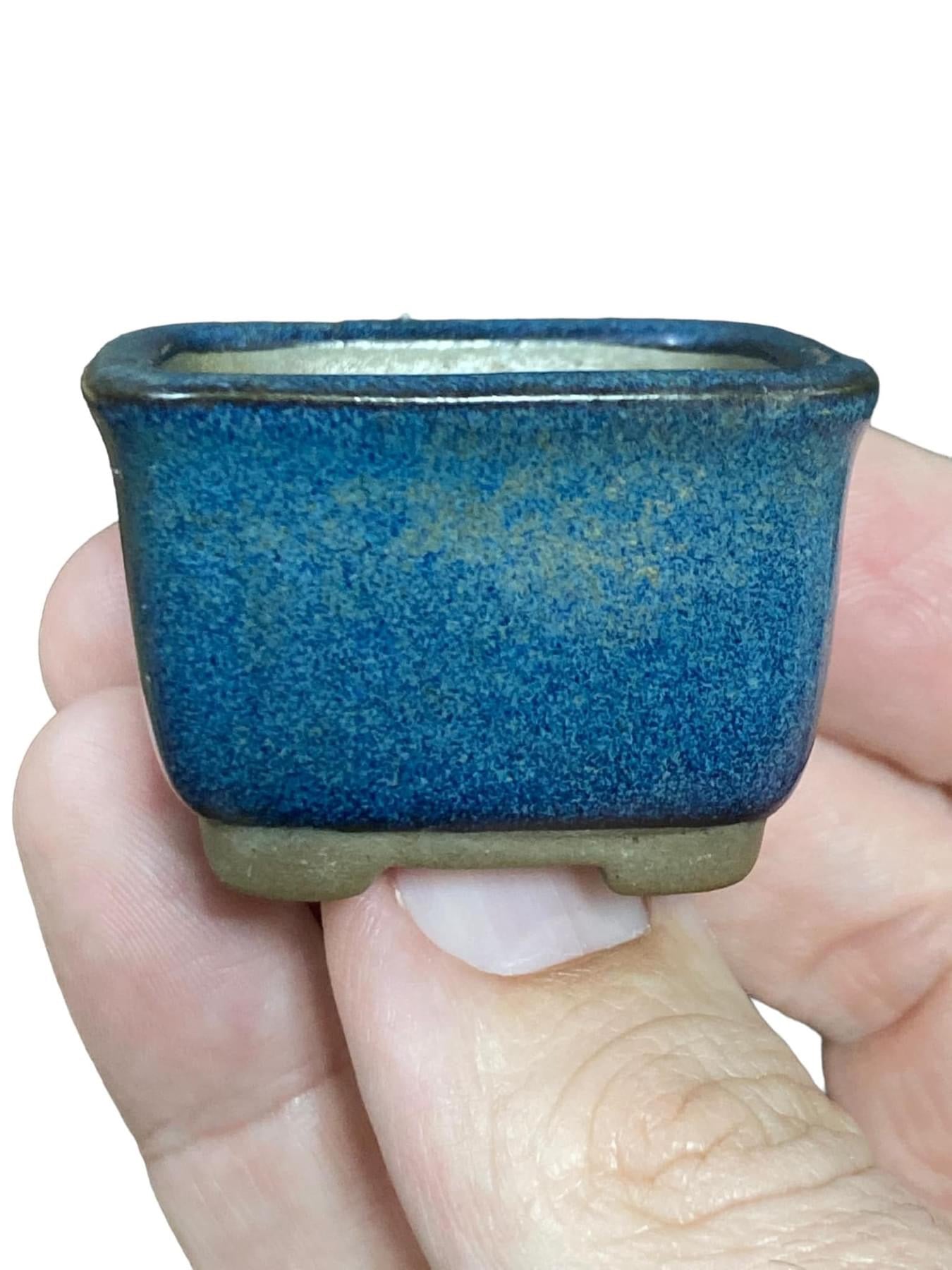 Japanese - Blue Rectangle Style Bonsai Pot from Japan (1-13/16" wide)