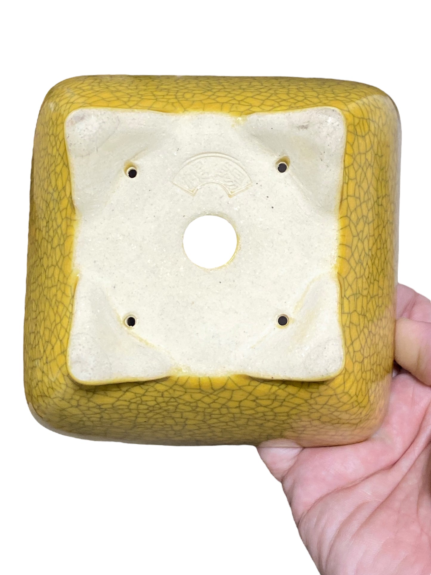 Koyo - Yellow Crackle Glazed Square Bonsai Pot (5-1/4" wide)