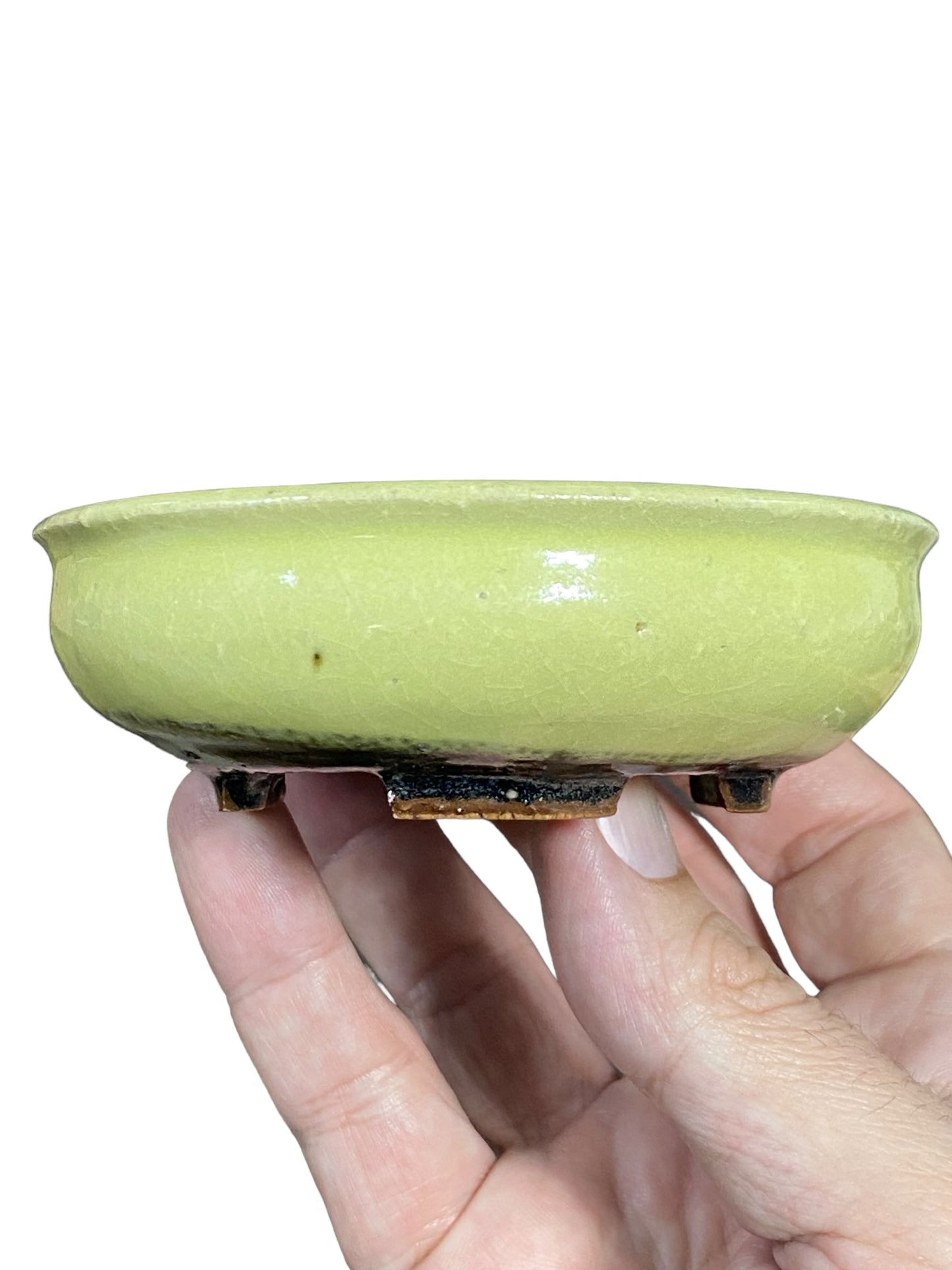 Heian Kosen - Yellow Footed Round Bonsai Pot