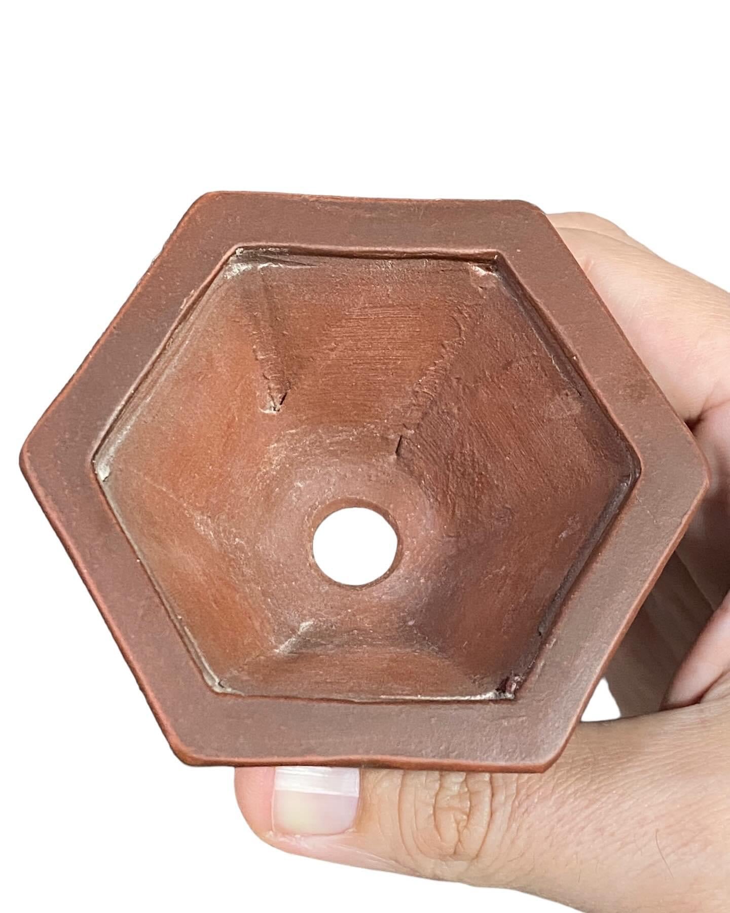 Bigei - Unglazed Carved Hexagon Bonsai Pot (3-5/8” wide)