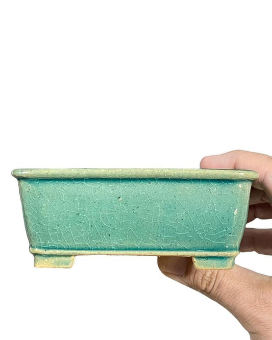 Shibakatsu - Exhibition Quality Crackle Glazed Bonsai Pot (4-15/16” wide)