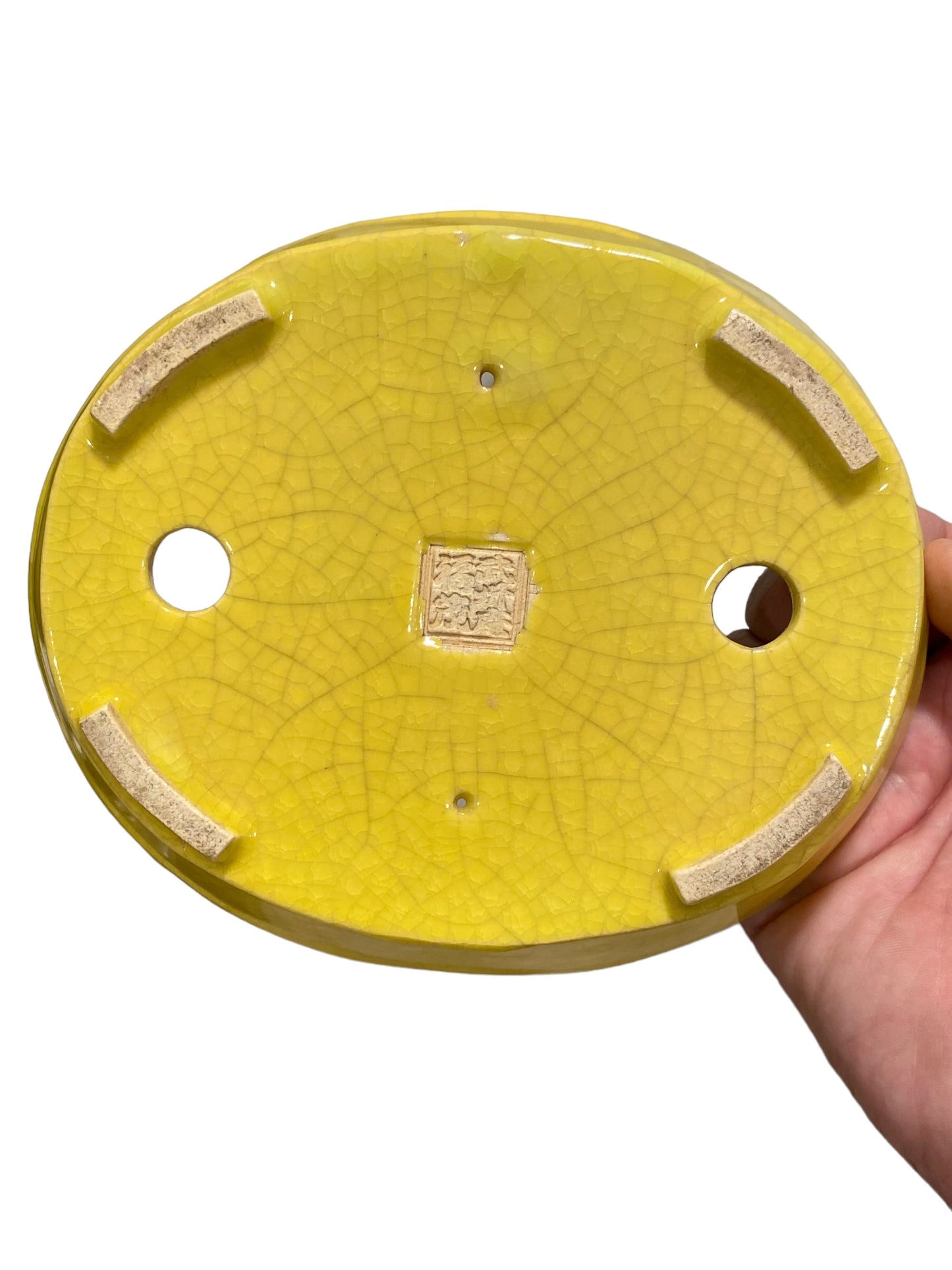 Fukushige Bushuan - Crackle Yellow Glazed Oval Bonsai Pot (7-1/4" wide)