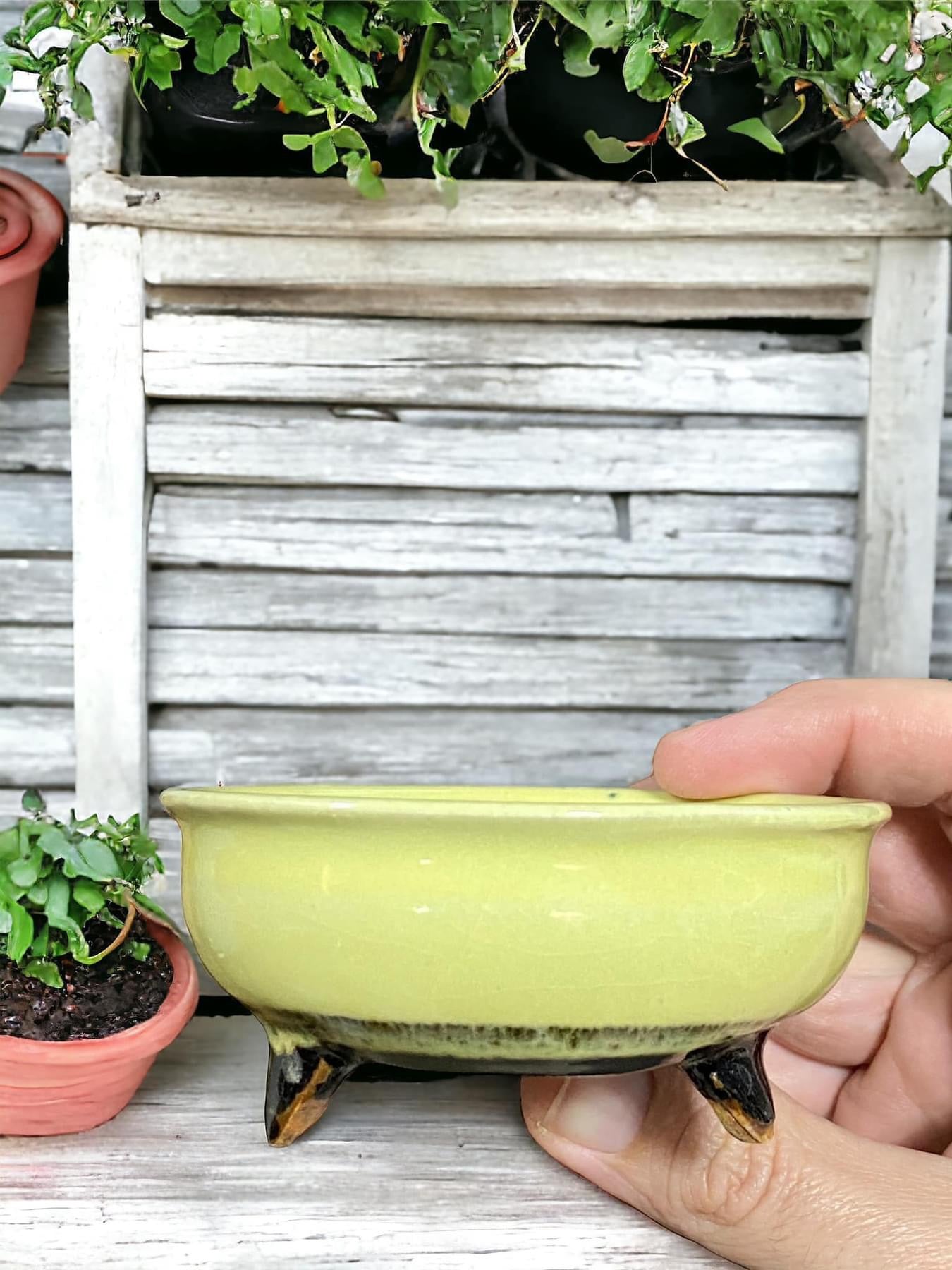 Heian Kosen - Glazed Footed Bowl Bonsai Pot (3-3/4" wide)