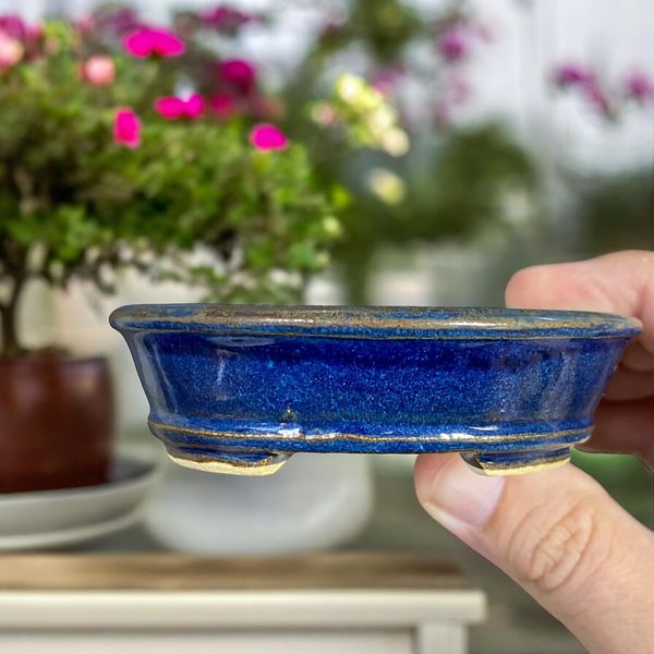 Toshiake Matsushige "Dokou" - Glazed Oval Bonsai Pot (3-3/4" wide)