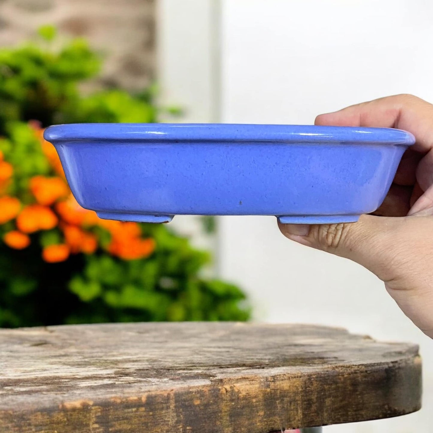 Ikko - Periwinkle Blue Glazed Oval Bonsai Pot (7-1/8" wide)