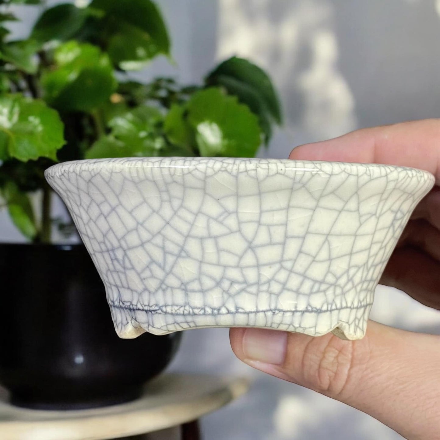 Bikoh - Beautiful Crackle Glazed Bonsai Pot (4" wide)