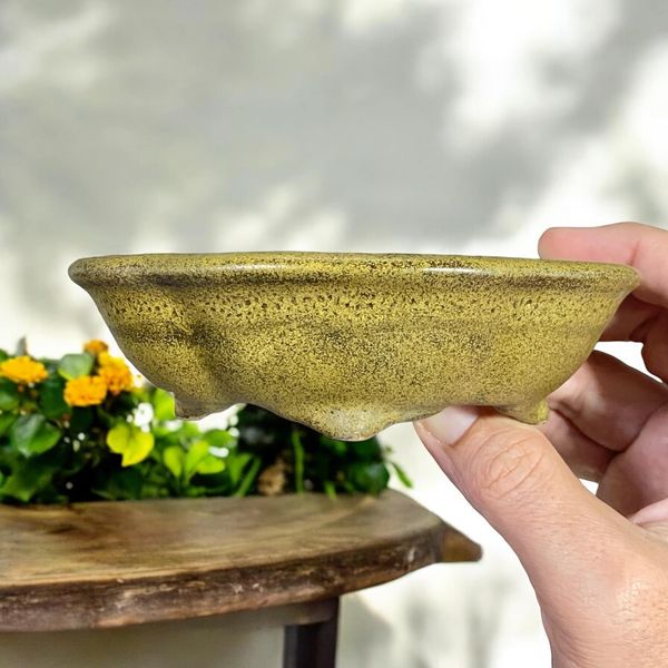 Heian Kosen - Rare Beautiful Speckled Glazed Bonsai Pot (5-11/16" wide)