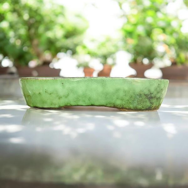 Yoshimura (Pre-Shuho) - Rare Large Exhibition Quality Bonsai Pot (13-7/8" wide)