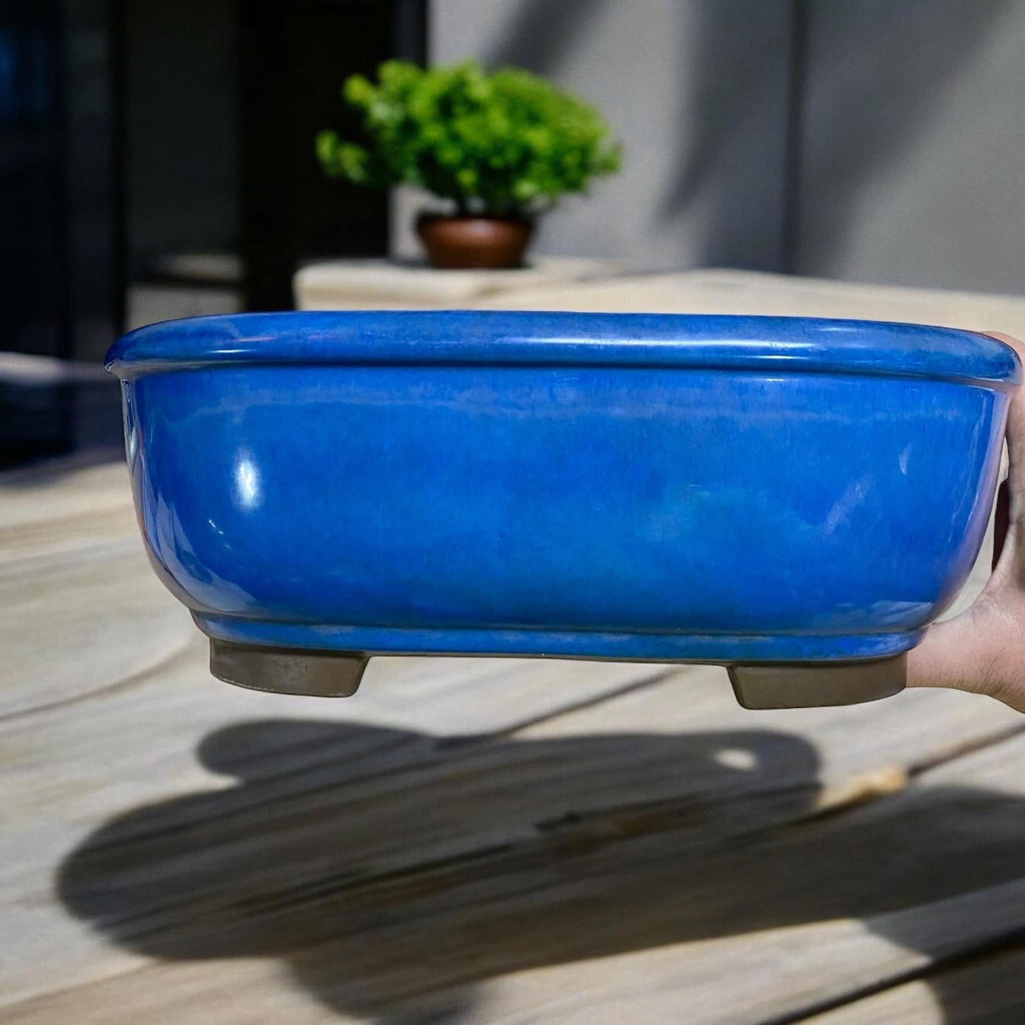 Japanese - Large Blue Oval Bonsai Pot (13-1/2" wide)