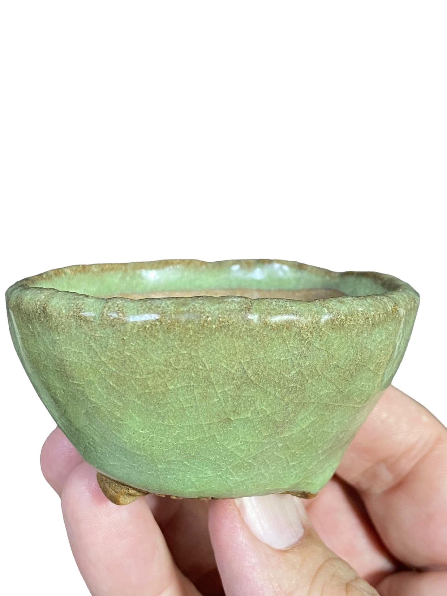 Kougetsu - Beautiful Green Crackle Glazed Bonsai Pot (2-3/4" wide)