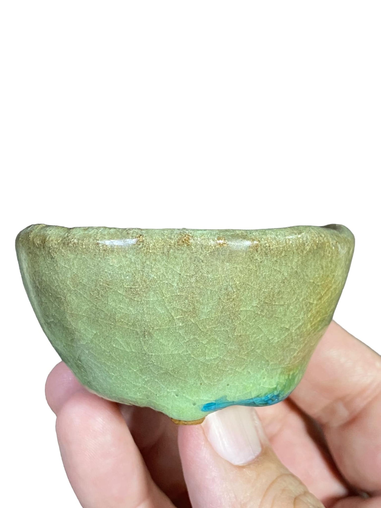 Kougetsu - Beautiful Green Crackle Glazed Bonsai Pot (2-3/4" wide)