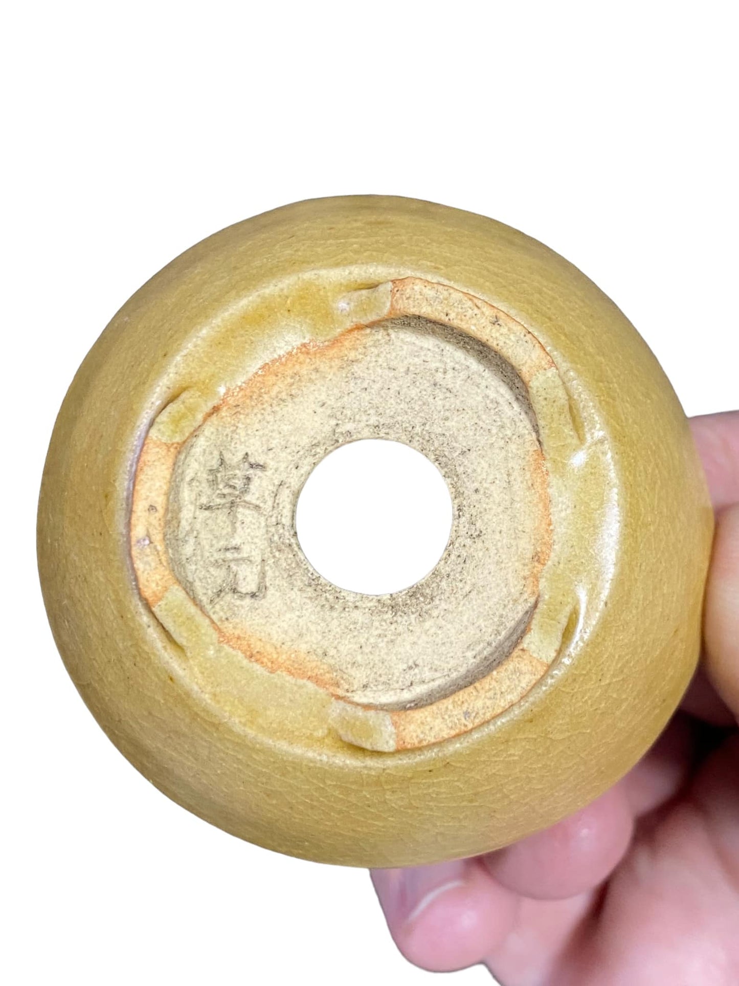 Shikou - Creamy Yellow Crackle Glazed Mame Bonsai Pot (2-1/2" wide)