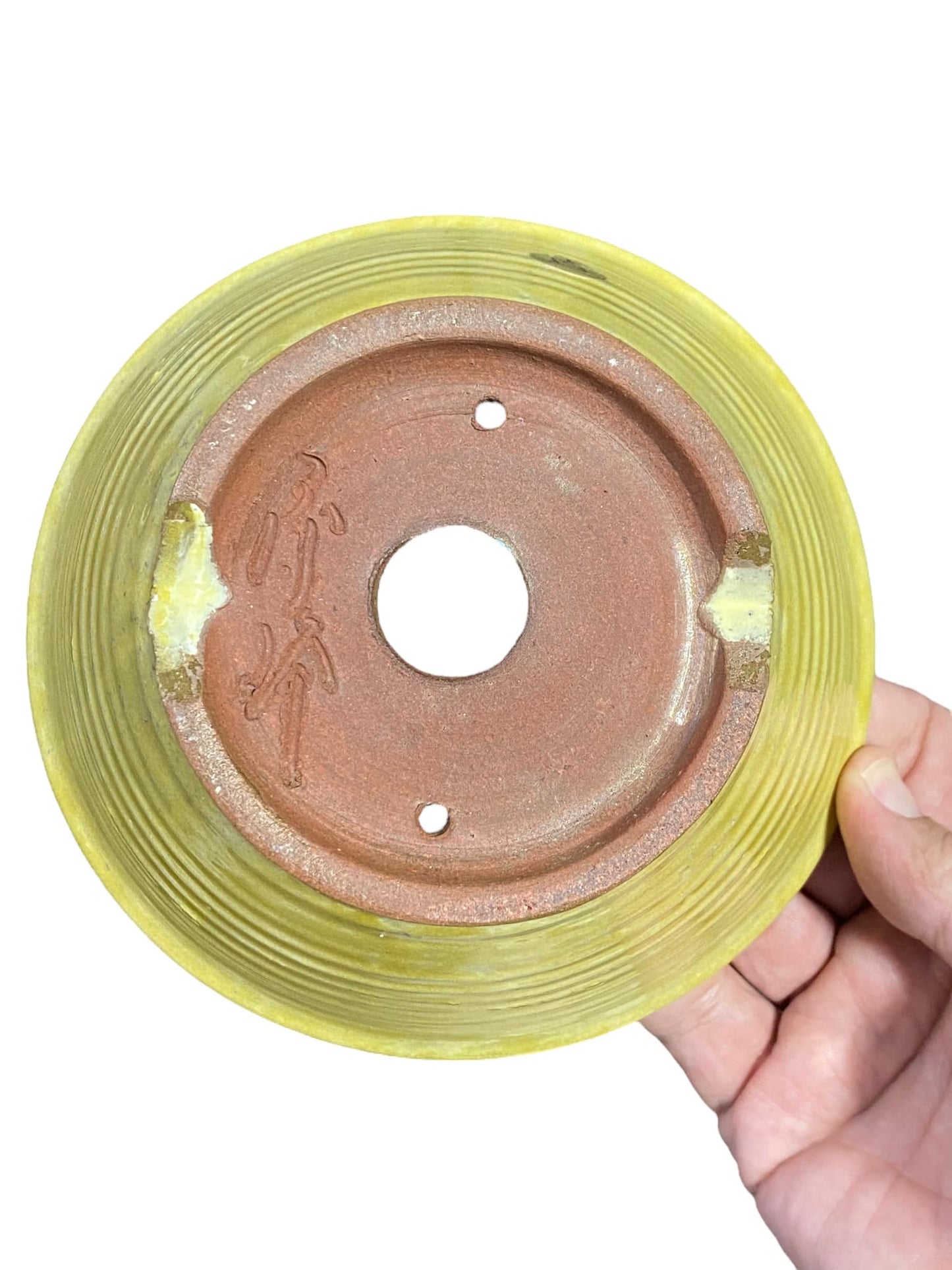 Shuho - Bright Yellow Bowl Bonsai Pot (6-1/4" wide)