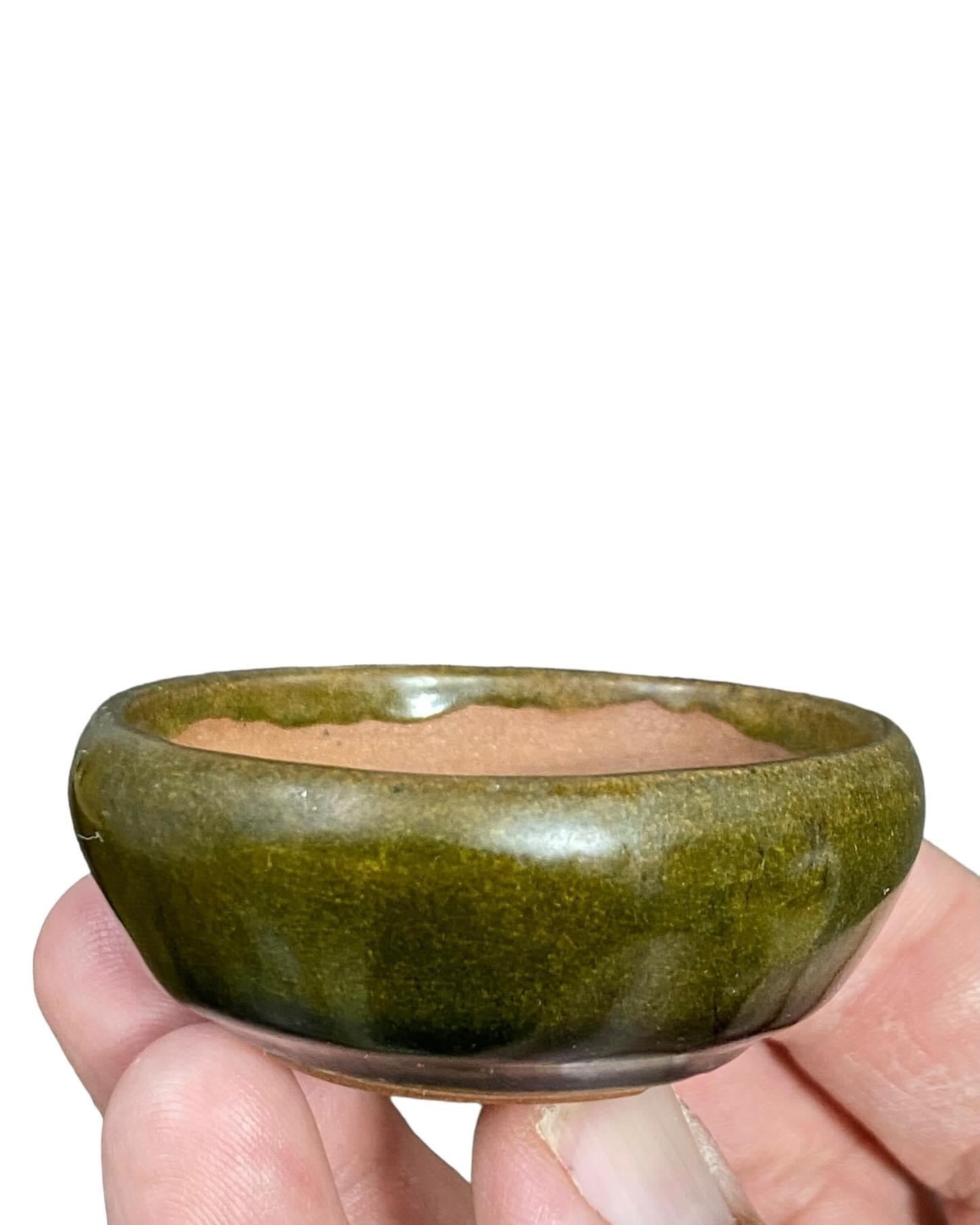 Hikari - Glazed Mame Round Bonsai Pot (2-5/16” wide)