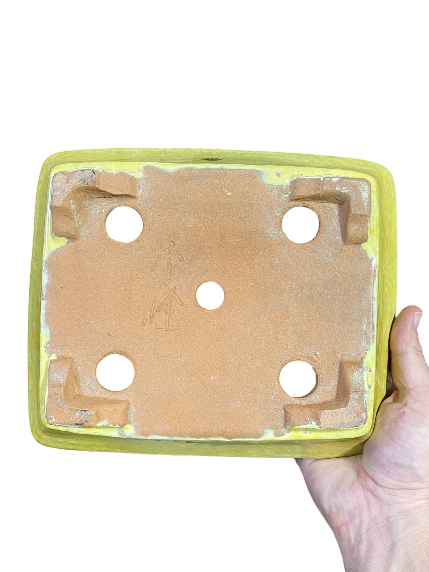 Shuho - Bright Yellow Glazed Rectangle Bonsai Pot (9-7/8โ wide)