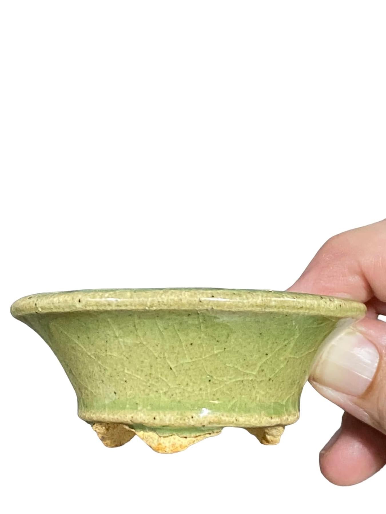 Hattori - Stellar Glazed Mane Bonsai Pot (3-1/4” wide)