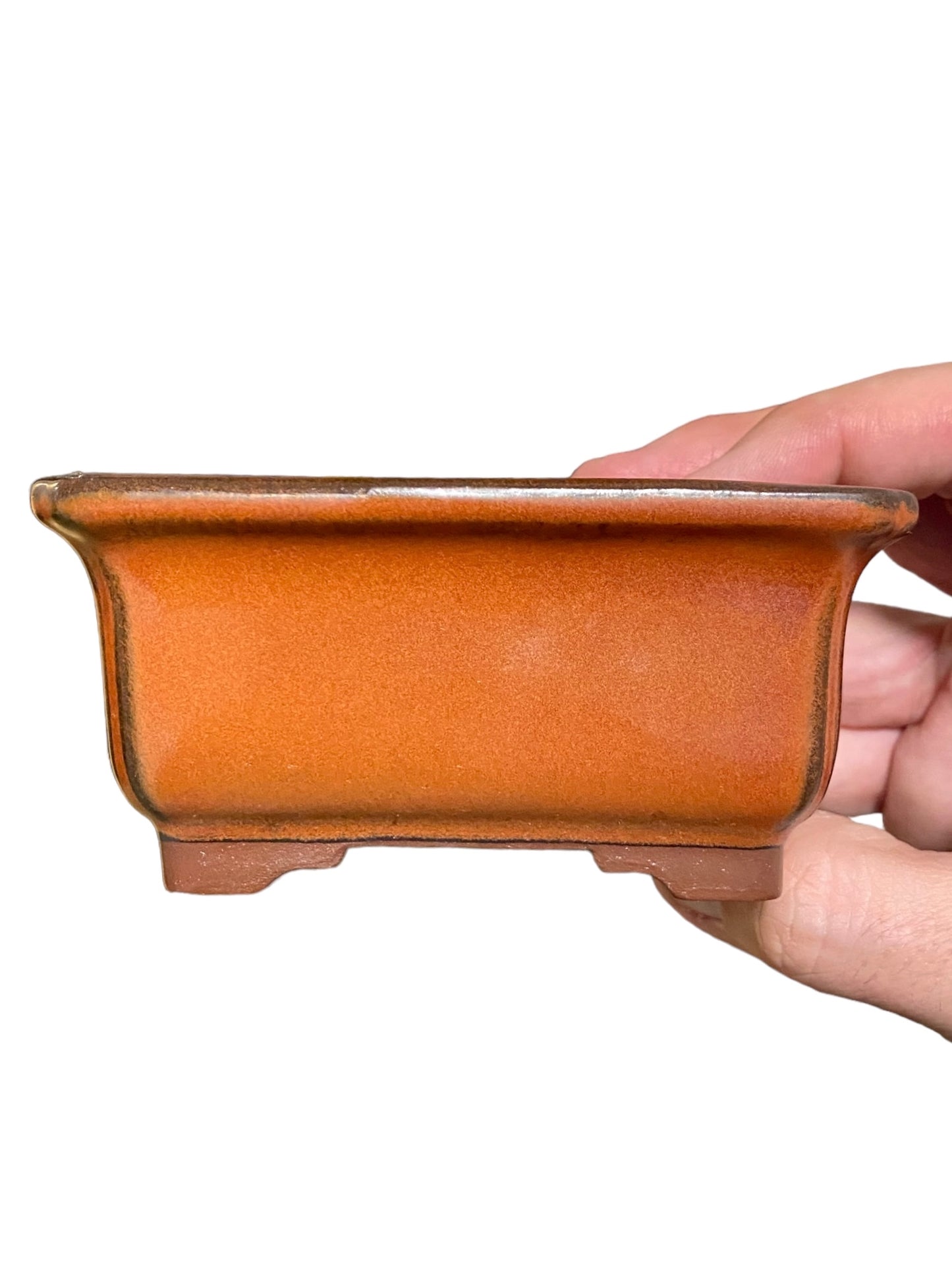 Bunzan - Glazed Rectangle Bonsai or Accent Pot