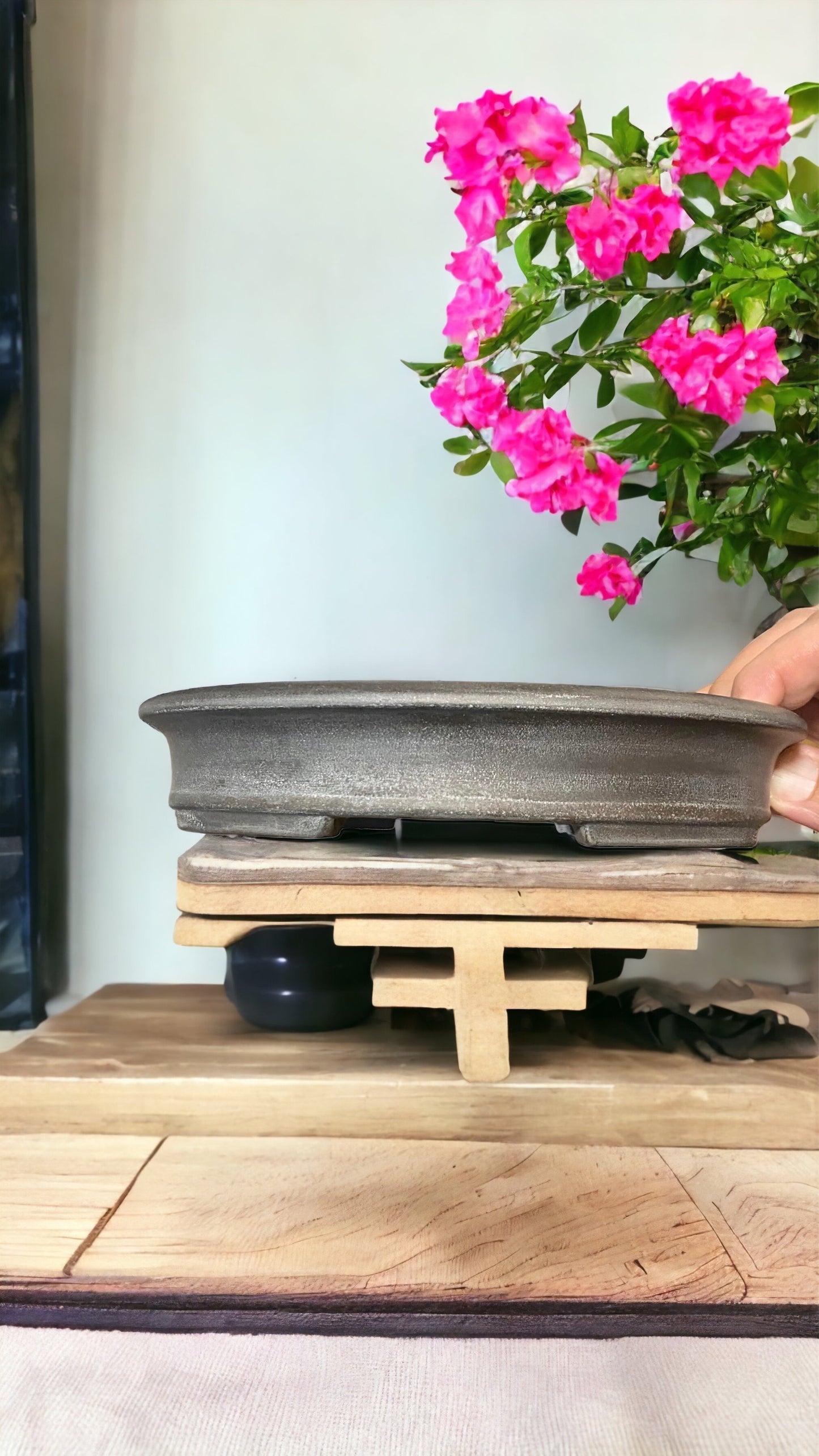 Bigei - Rare Black Clay Oval Bonsai Pot (7-5/8" wide)