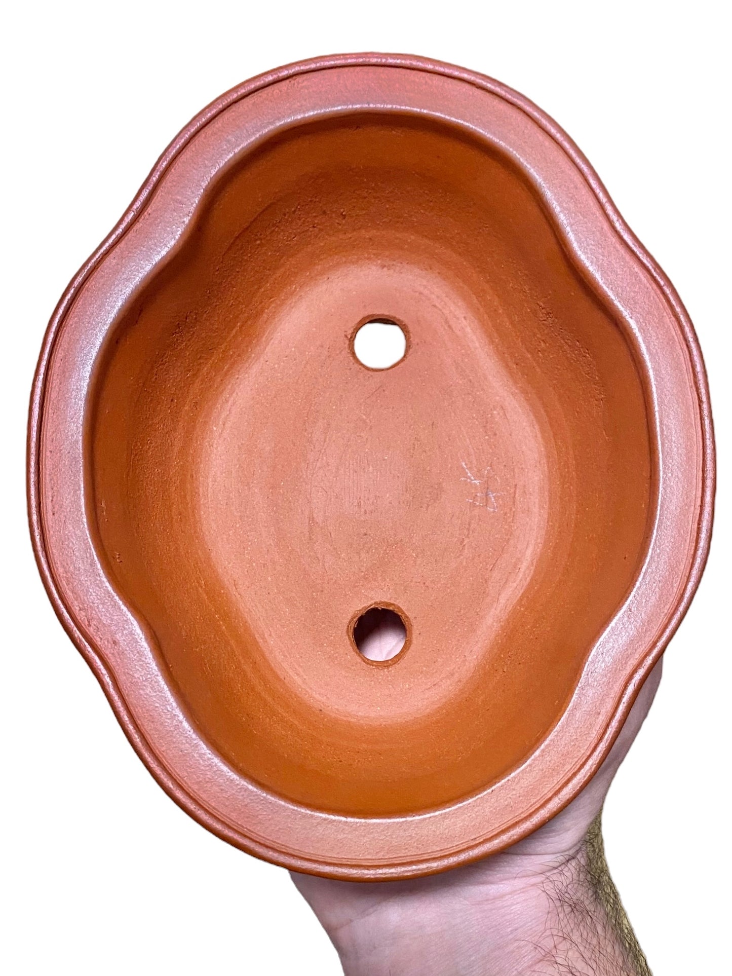 Ikko - Exhibition Quality Unglazed Mokko Style Bonsai Pot