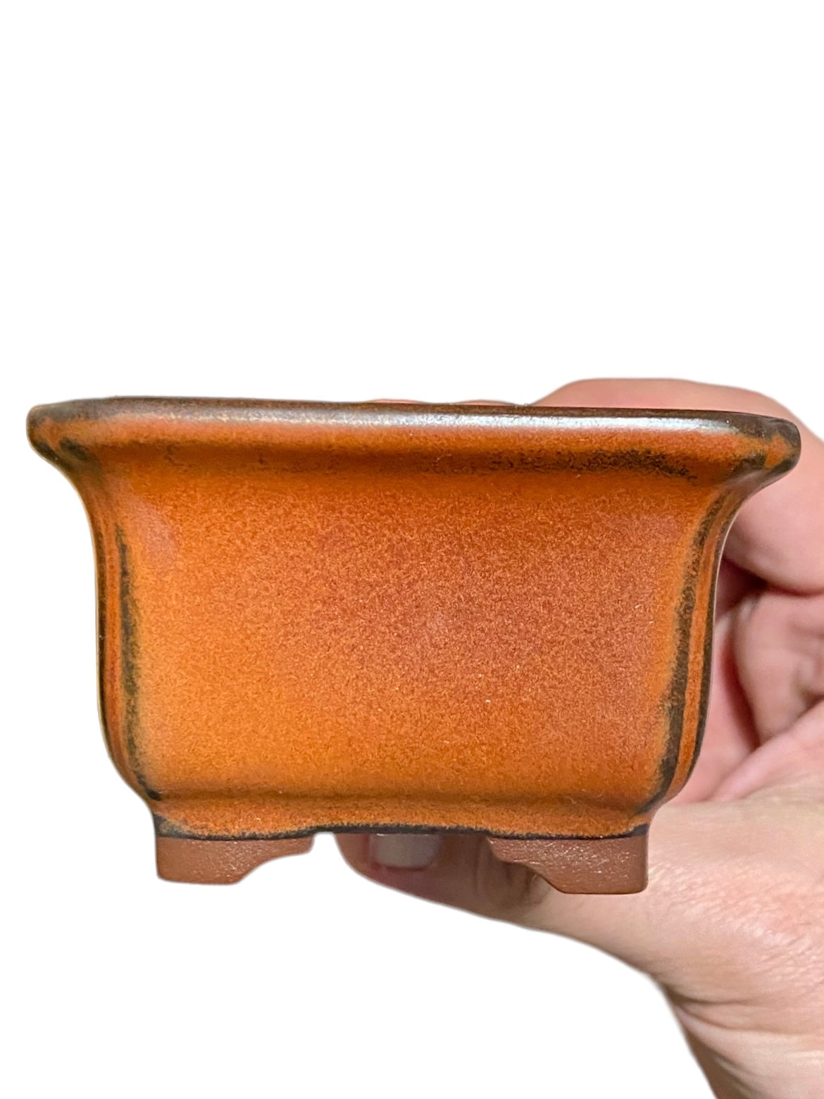 Bunzan - Glazed Rectangle Bonsai or Accent Pot