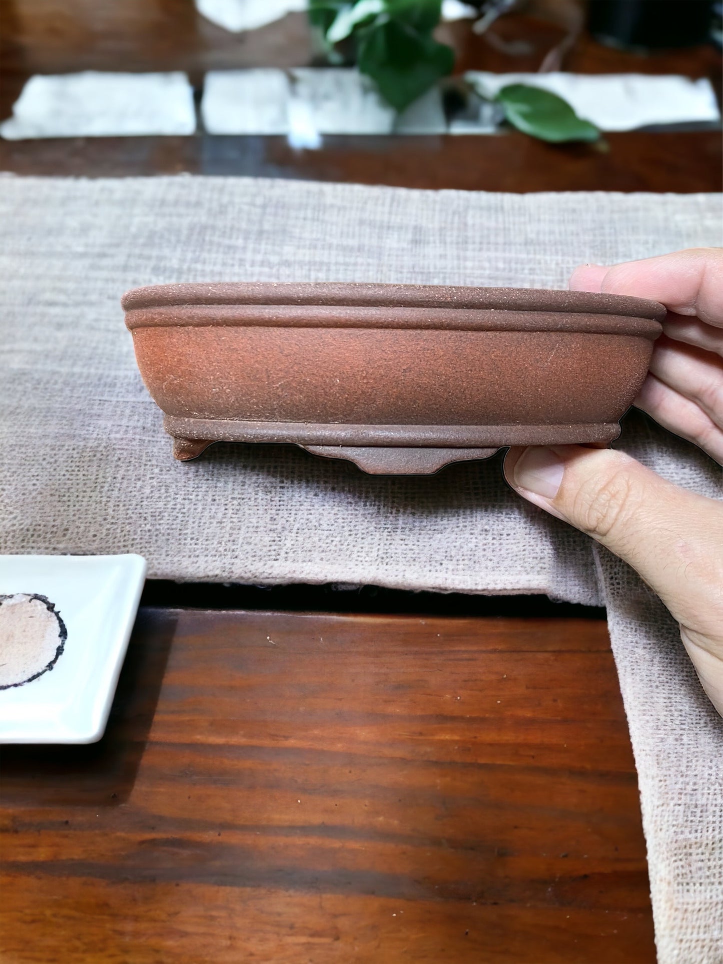 LoveBonsai Designed Unglazed Oval Bonsai Pot (6” wide)