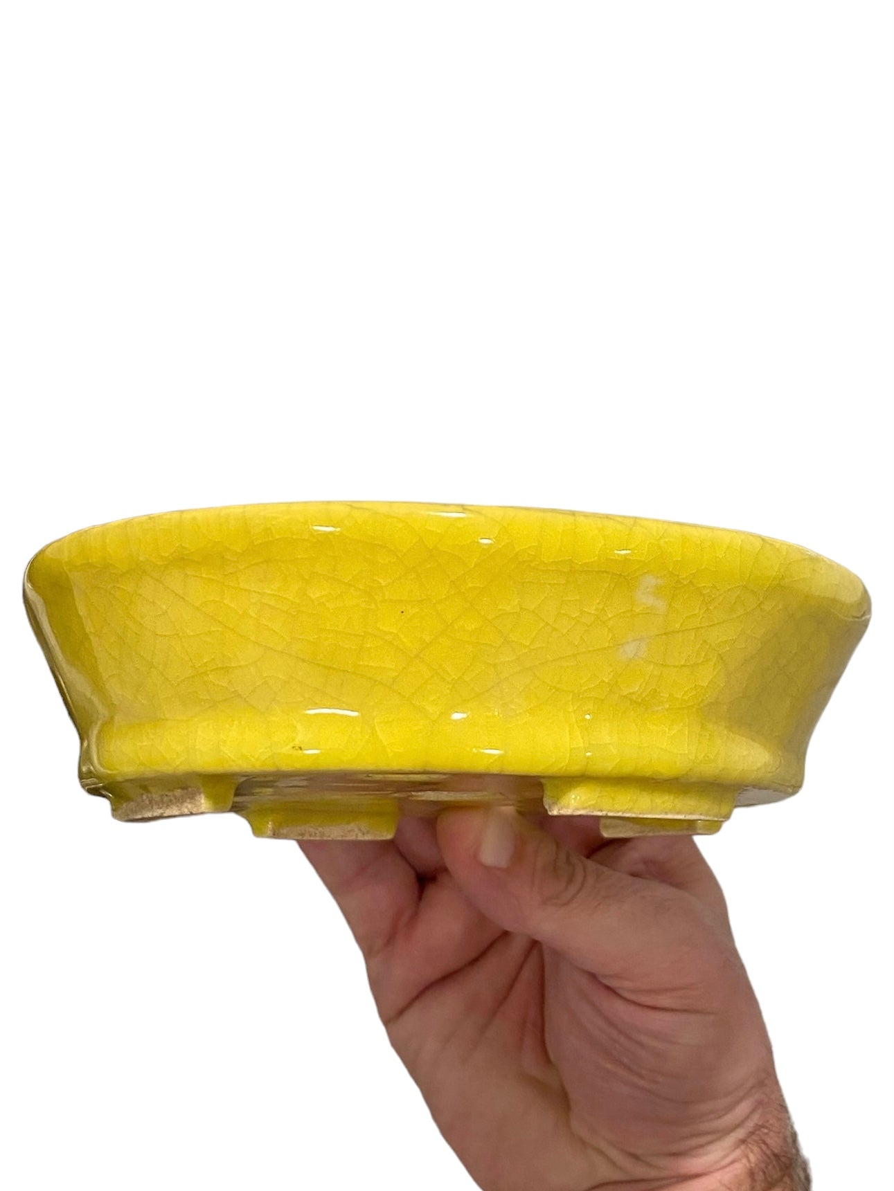 Fukushige Bushuan - Crackle Yellow Glazed Oval Bonsai Pot