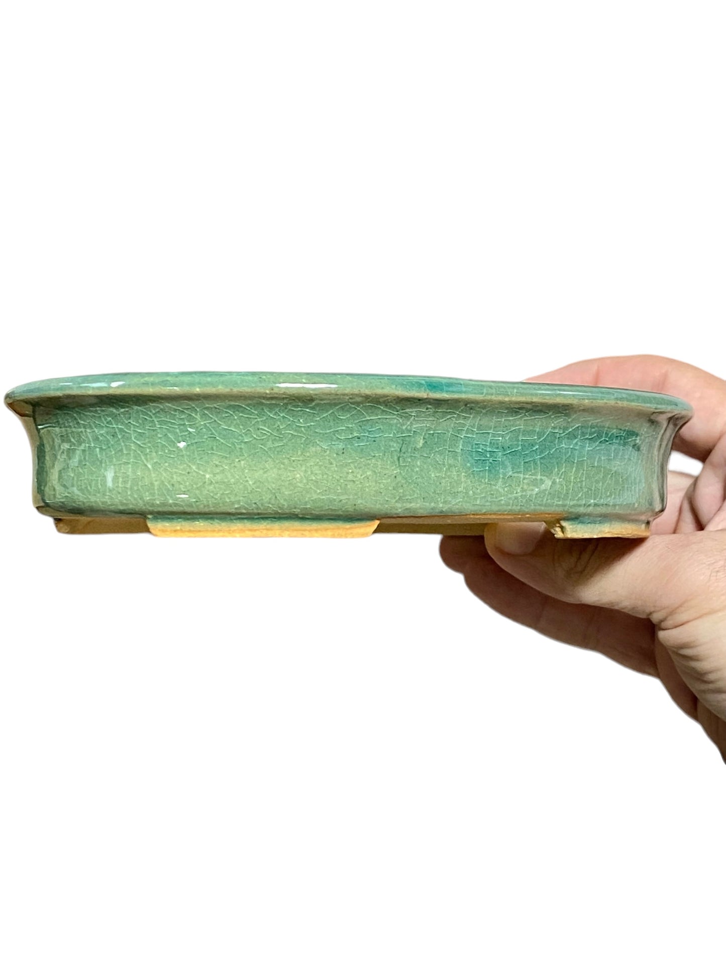 Shibakatsu - Stellar Crackle Glazed Oval Style Bonsai Pot (7-11/16" wide)