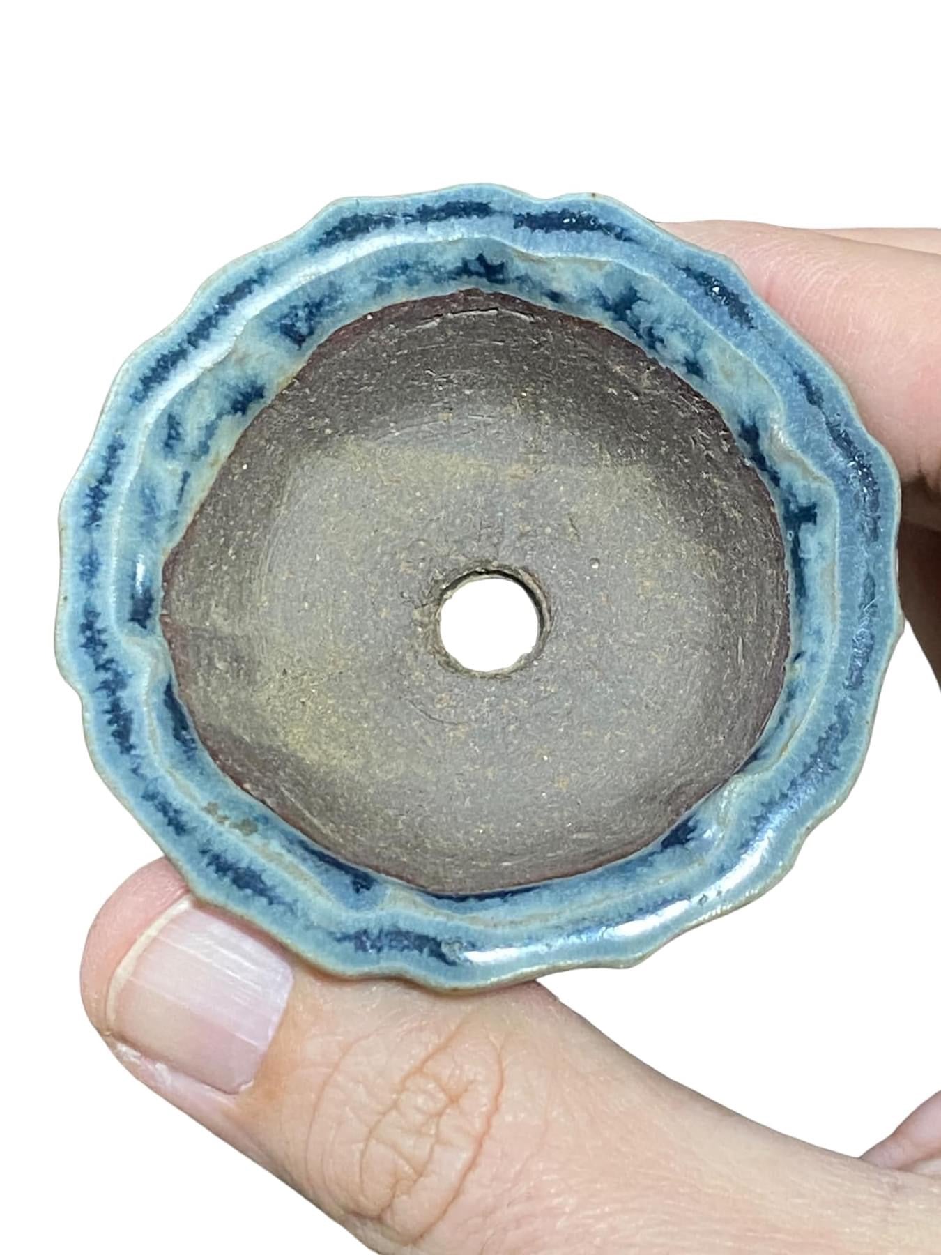 Shibakatsu - Blue Glazed Mame Bonsai Pot (Rare) 2-5/8" wide)